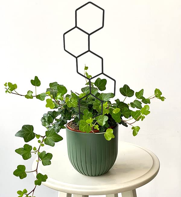 Indoor Plant Trellis for Climbing Plants, 16inch Small Garden Metal Trellis for Potted Plants Outdoor - 4 Pack - OVAD