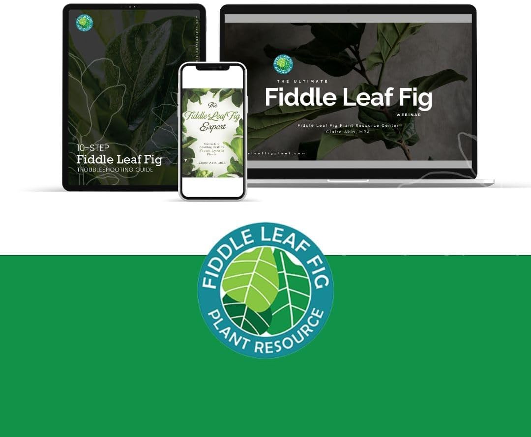 Fiddle Leaf Fig Tree Plant Food for Ficus Lyrata and Ficus Audrey Enriched with Calcium Urea-Free NPK Ratio 3-1-2 for Strong Roots Stems Leaves 8 Ounces - OVAD