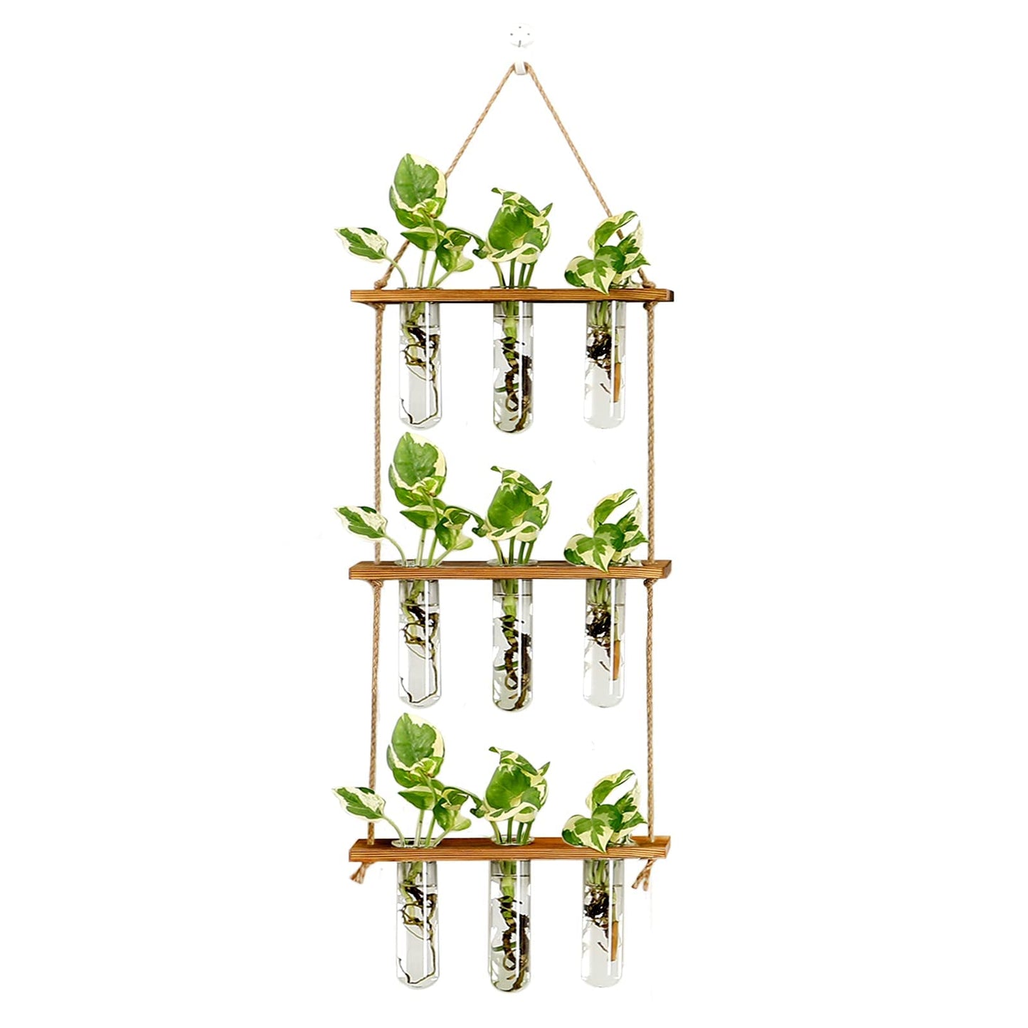 Wall Hanging Propagation Station with Wooden Stand - 5 Glass Test Tubes for Stylish Plant Display and Home Décor - OVAD