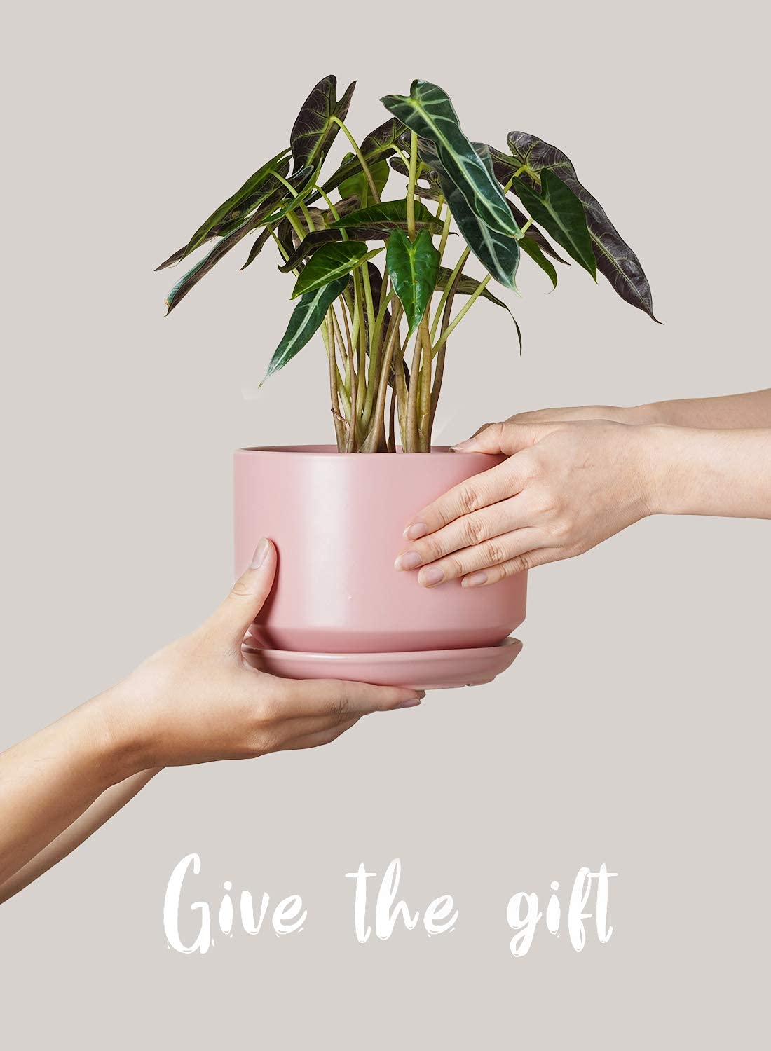 LE TAUCI Ceramic Plant Pots, 4.3+5.3+6.8 Inch, Set of 3, Planters with Drainage Hole and Saucer for Stylish Indoor and Outdoor Decor - OVAD