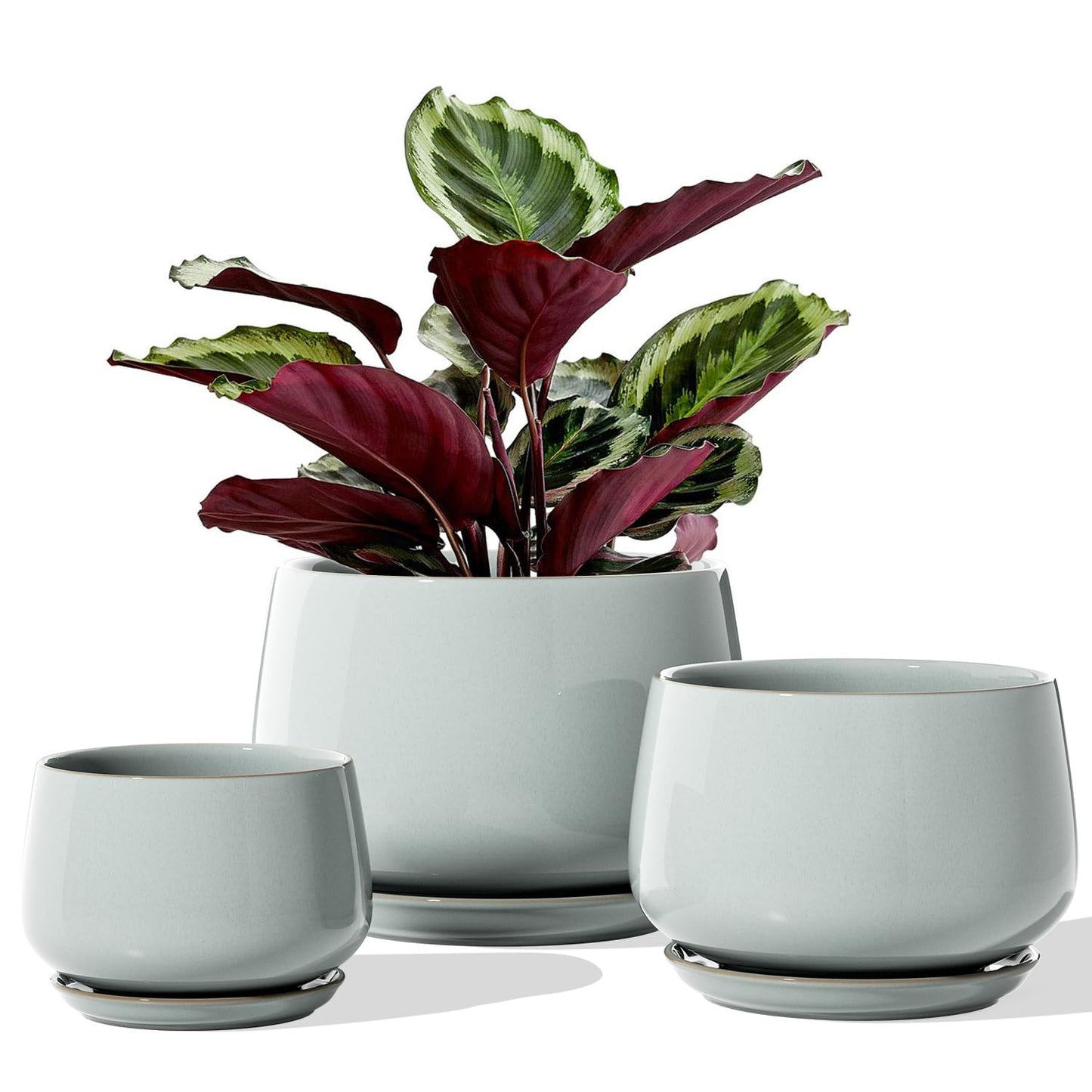 LE TAUCI Plant Pots, 4.1+5.1+6.5 Inch, Set of 3 Stylish Ceramic Planters with Drainage Hole and Saucer for Optimal Plant Growth - OVAD