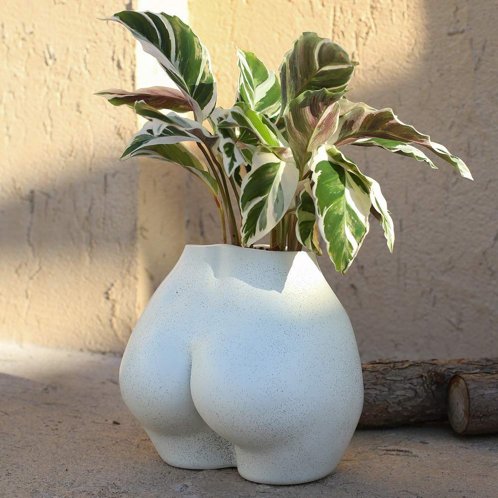 Lower Body Pot, Female with Drainage Holes for Optimal Growth - OVAD