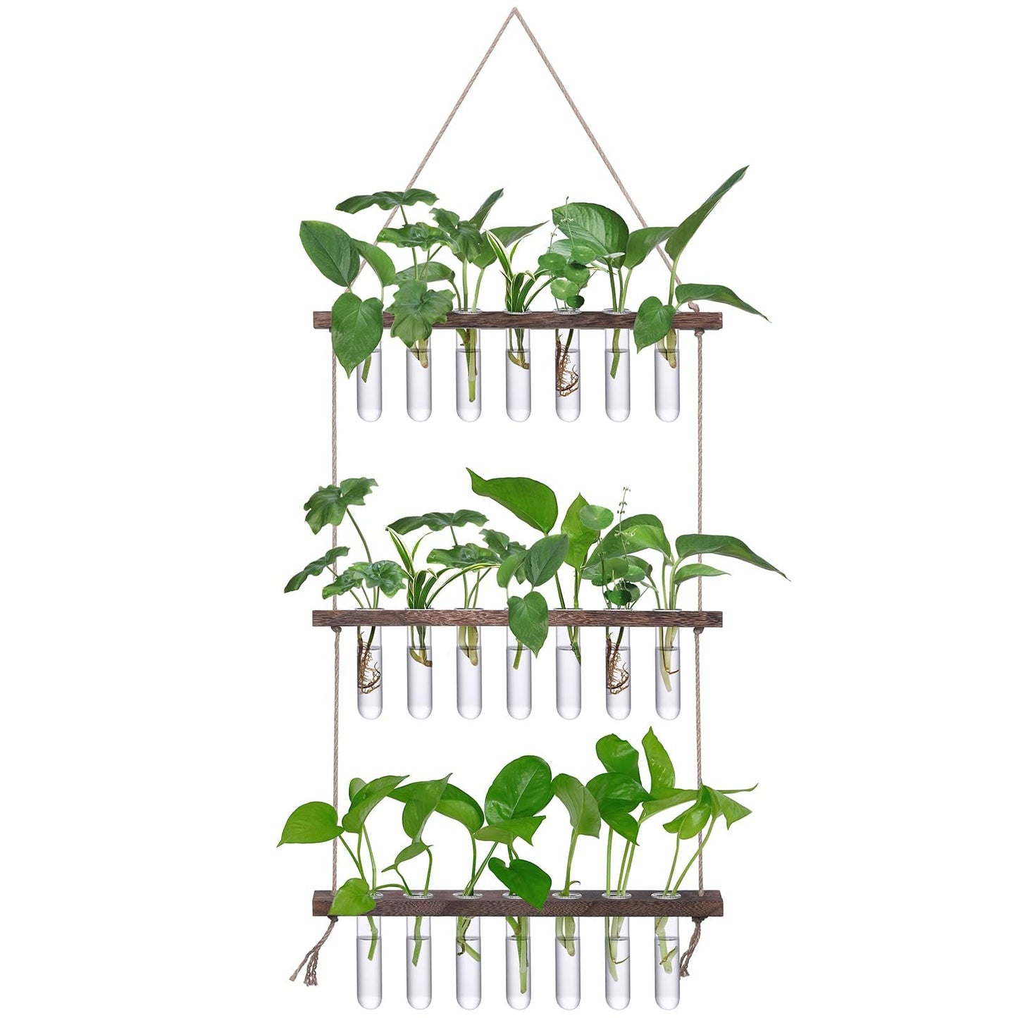 Wall Hanging Propagation Station with Wooden Stand - 5 Glass Test Tubes for Stylish Plant Display and Home Décor - OVAD