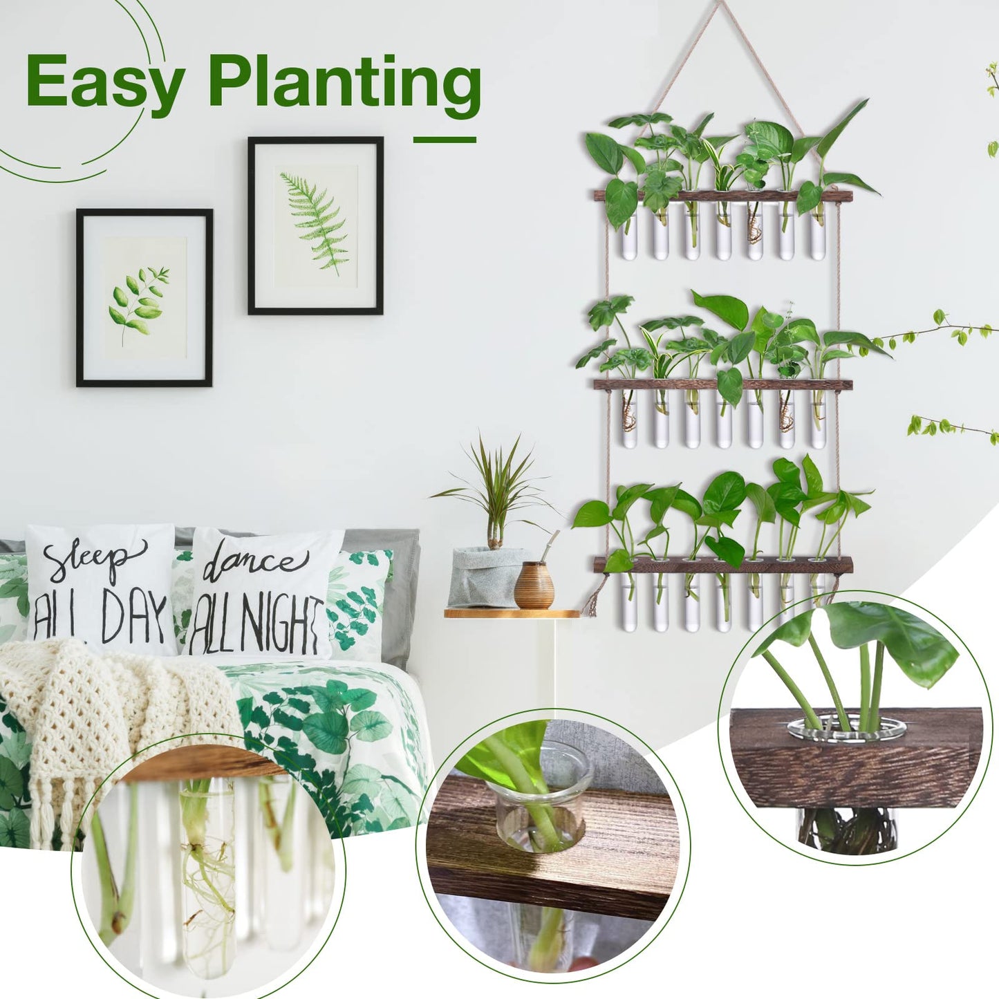 Wall Hanging Propagation Station with Wooden Stand - 5 Glass Test Tubes for Stylish Plant Display and Home Décor - OVAD
