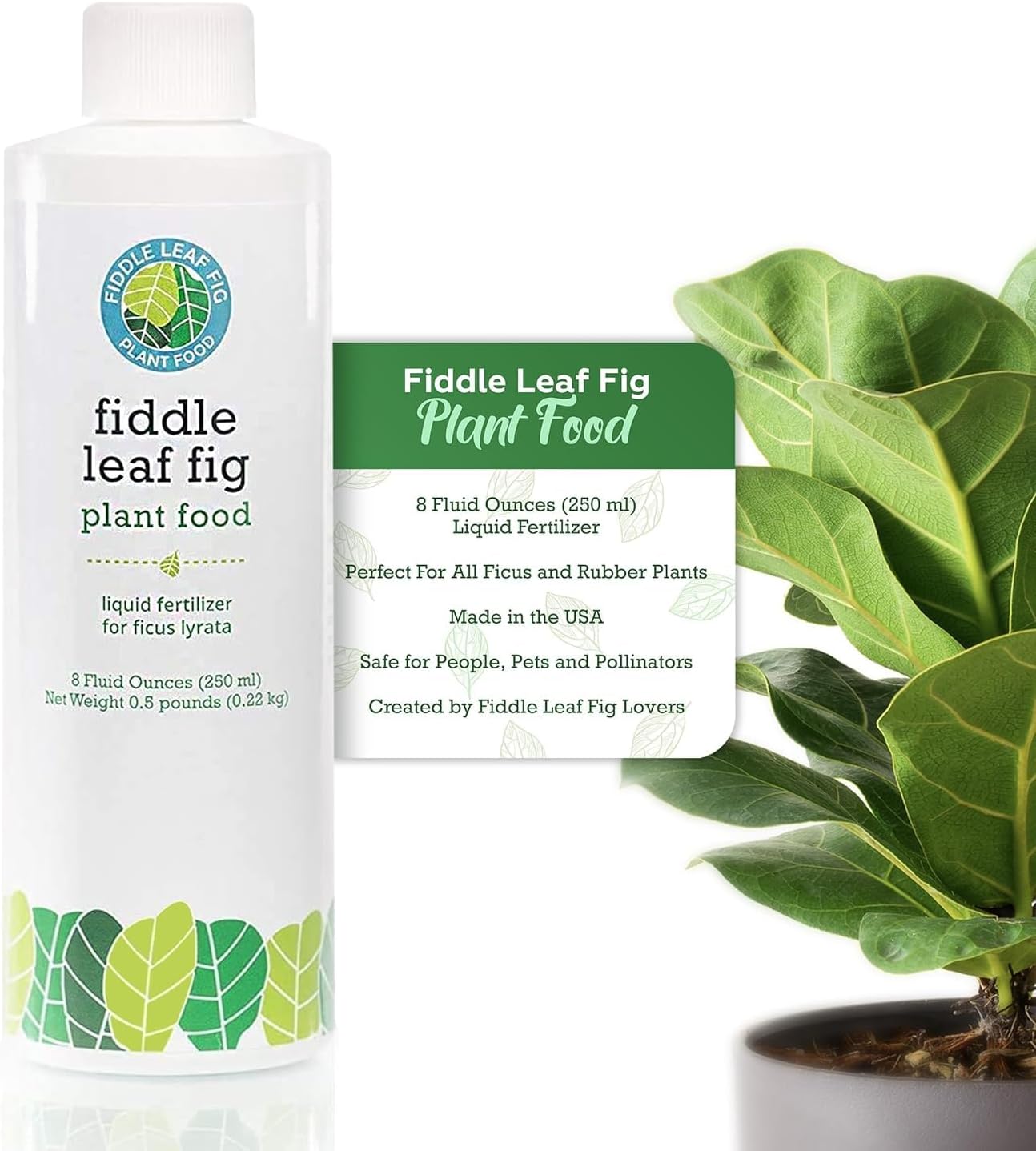 Fiddle Leaf Fig Tree Plant Food for Ficus Lyrata and Ficus Audrey Enriched with Calcium Urea-Free NPK Ratio 3-1-2 for Strong Roots Stems Leaves 8 Ounces - OVAD