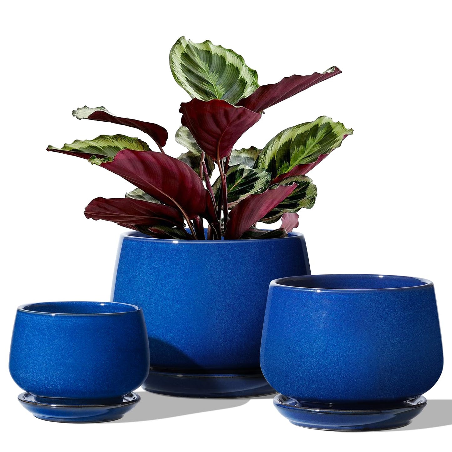 LE TAUCI Plant Pots, 4.1+5.1+6.5 Inch, Set of 3 Stylish Ceramic Planters with Drainage Hole and Saucer for Optimal Plant Growth - OVAD
