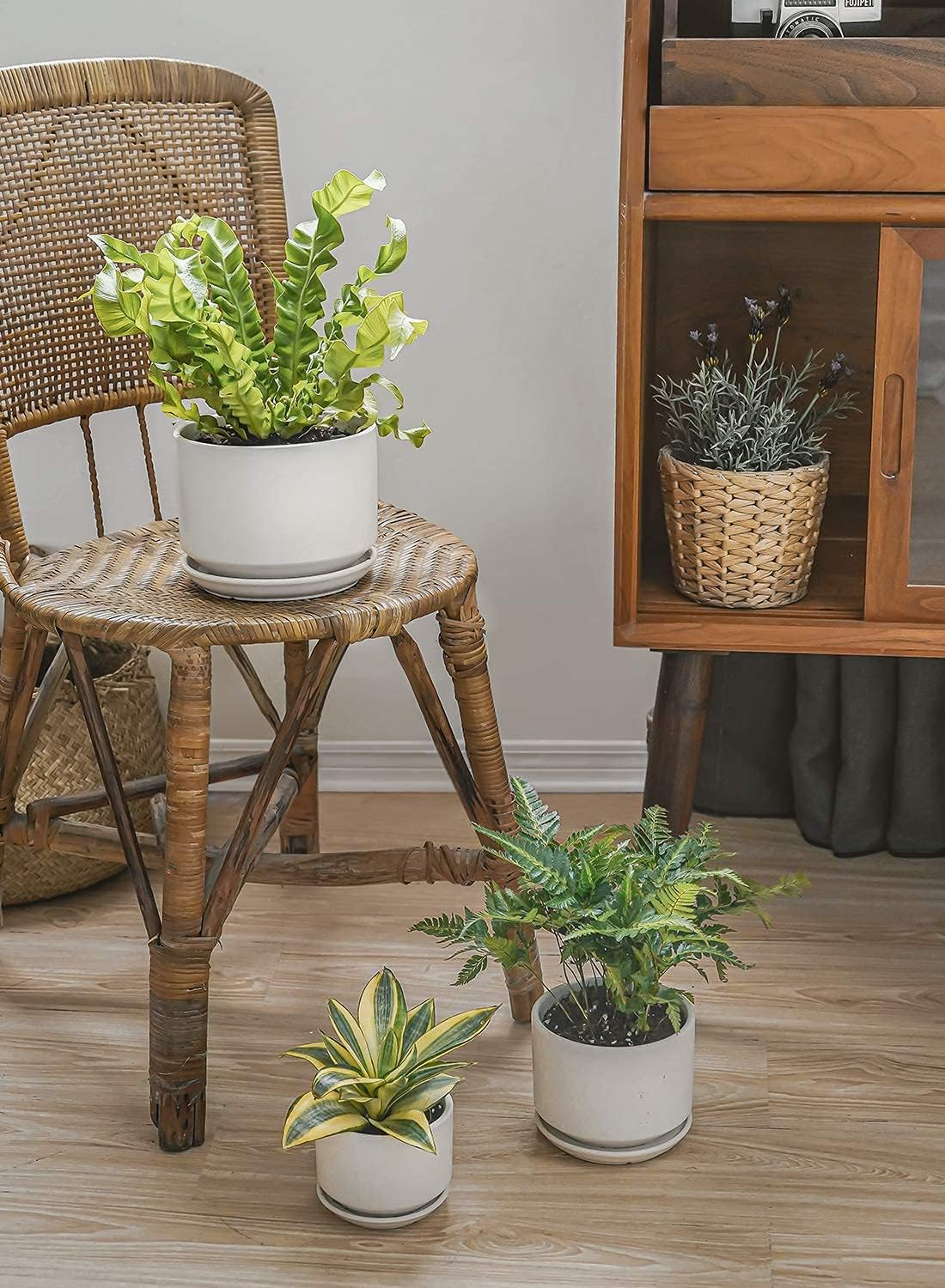 LE TAUCI Ceramic Plant Pots, 4.3+5.3+6.8 Inch, Set of 3, Planters with Drainage Hole and Saucer for Stylish Indoor and Outdoor Decor - OVAD