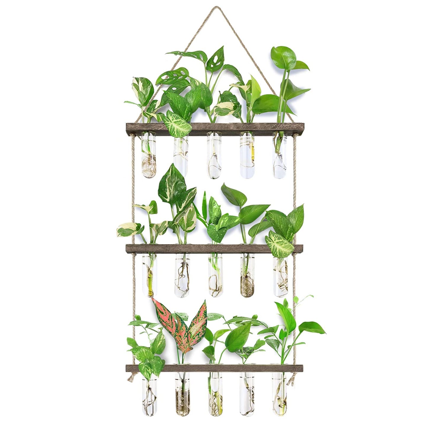 Wall Hanging Propagation Station with Wooden Stand - 5 Glass Test Tubes for Stylish Plant Display and Home Décor - OVAD