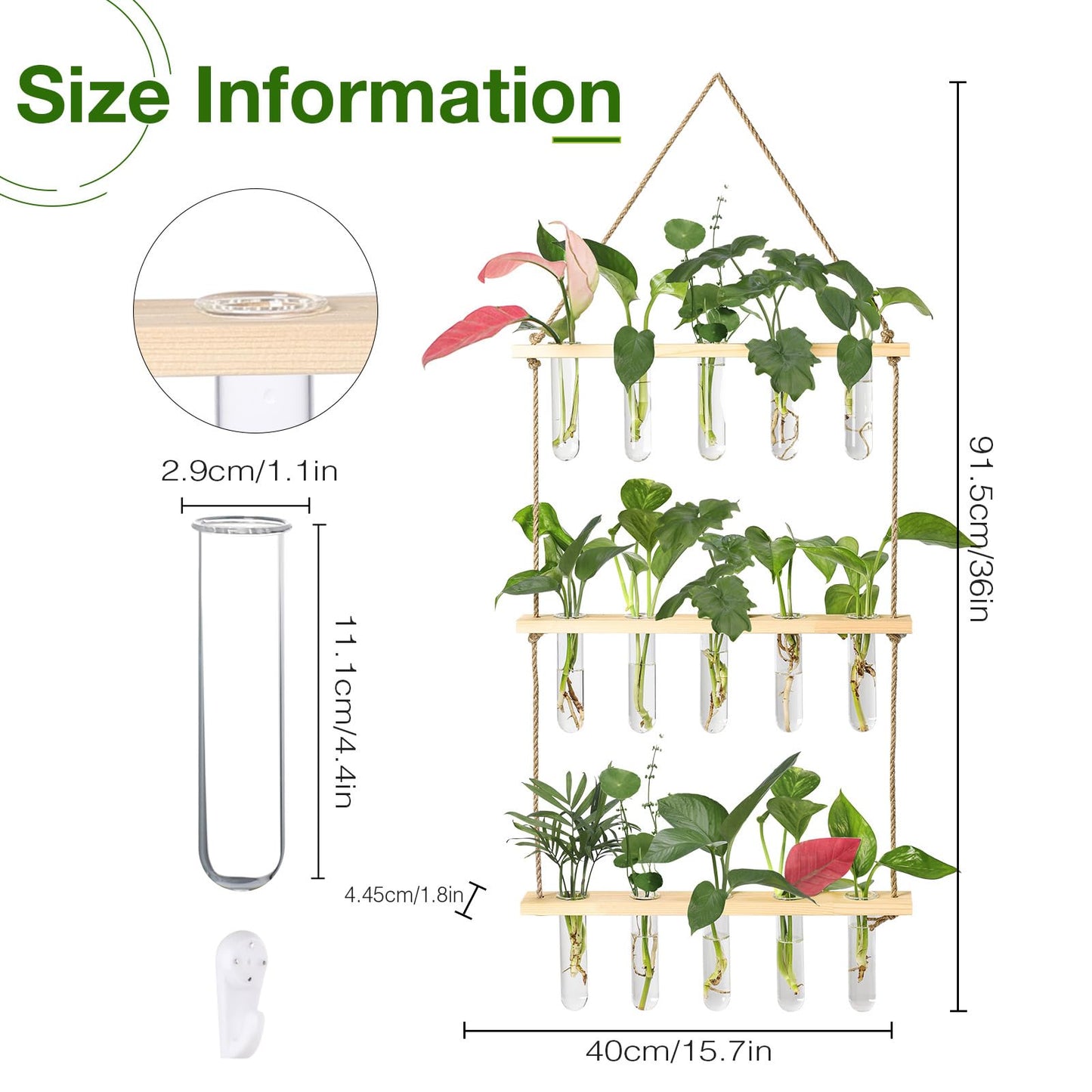 Wall Hanging Propagation Station with Wooden Stand - 5 Glass Test Tubes for Stylish Plant Display and Home Décor - OVAD