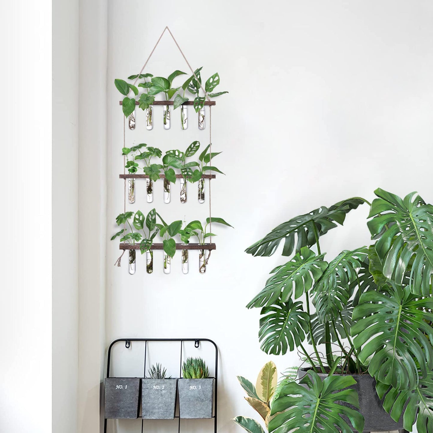 Wall Hanging Propagation Station with Wooden Stand - 5 Glass Test Tubes for Stylish Plant Display and Home Décor - OVAD