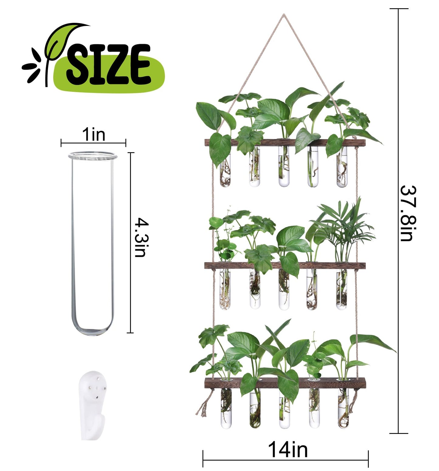 Wall Hanging Propagation Station with Wooden Stand - 5 Glass Test Tubes for Stylish Plant Display and Home Décor - OVAD