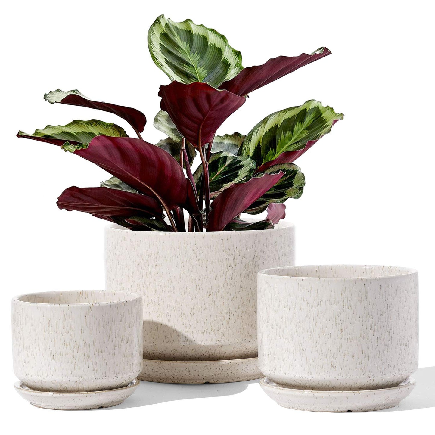 LE TAUCI Ceramic Plant Pots, 4.3+5.3+6.8 Inch, Set of 3, Planters with Drainage Hole and Saucer for Stylish Indoor and Outdoor Decor - OVAD