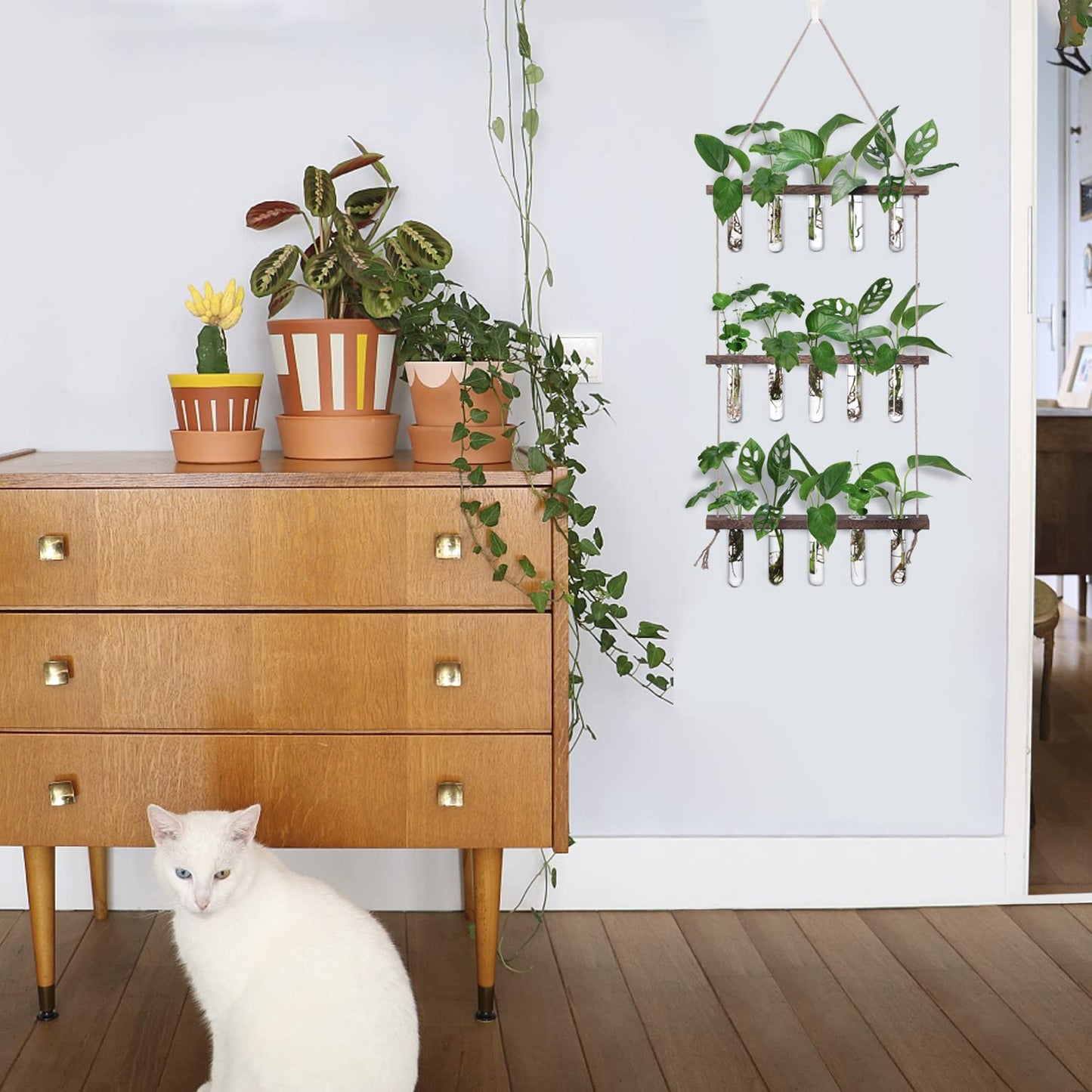 Wall Hanging Propagation Station with Wooden Stand - 5 Glass Test Tubes for Stylish Plant Display and Home Décor - OVAD
