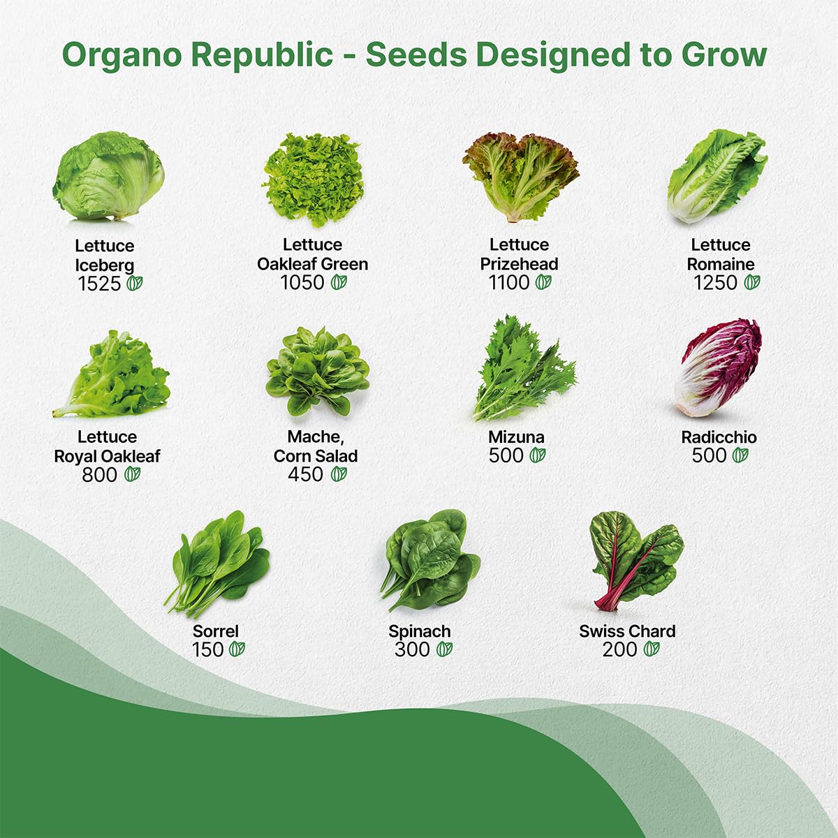 Organo Republic 22 Lettuce & Salad Greens Seeds Variety Pack 24,700 Plus Non-GMO Heirloom Lettuce Seeds For Indoor And Outdoor Garden Hydroponics Aerogarden Arugula Kale Spinach Swiss Chard Lettuce - OVAD