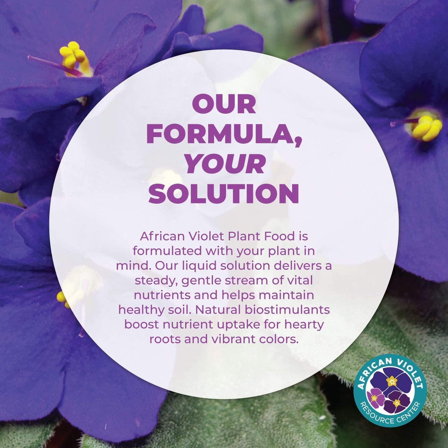 African Violet Plant Food by Houseplant Resource Center Liquid Fertilizer for Vibrant Blooms and Healthy Growth Easy to Use 8 Fluid Ounces - OVAD