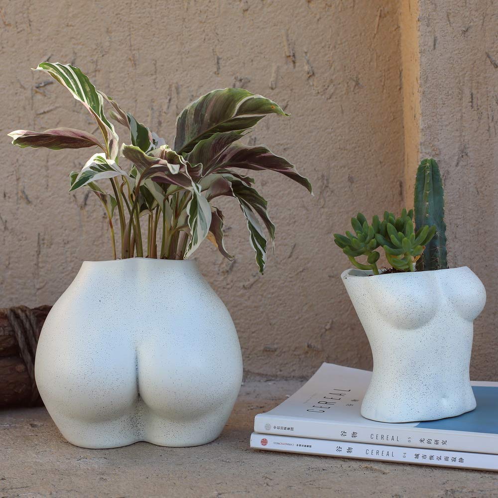 Lower Body Pot, Female with Drainage Holes for Optimal Growth - OVAD