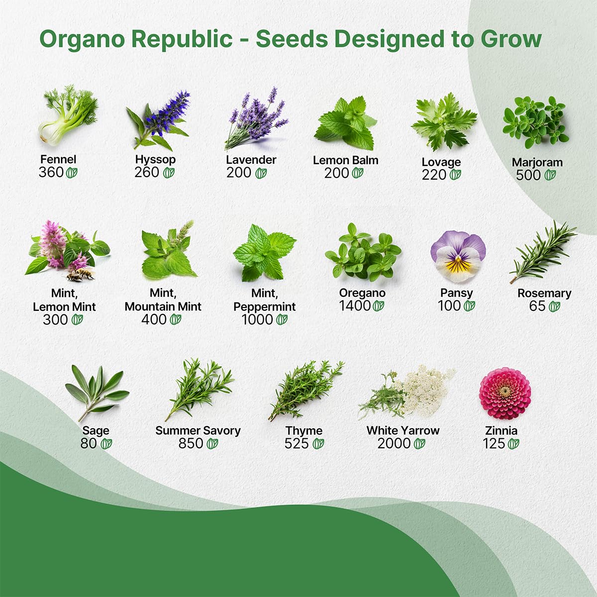 35 Medicinal & Tea Herb Seeds Variety Pack for Indoor & Outdoors Non-GMO Heirloom Garden Seeds Featuring Anise Dandelion & More - OVAD