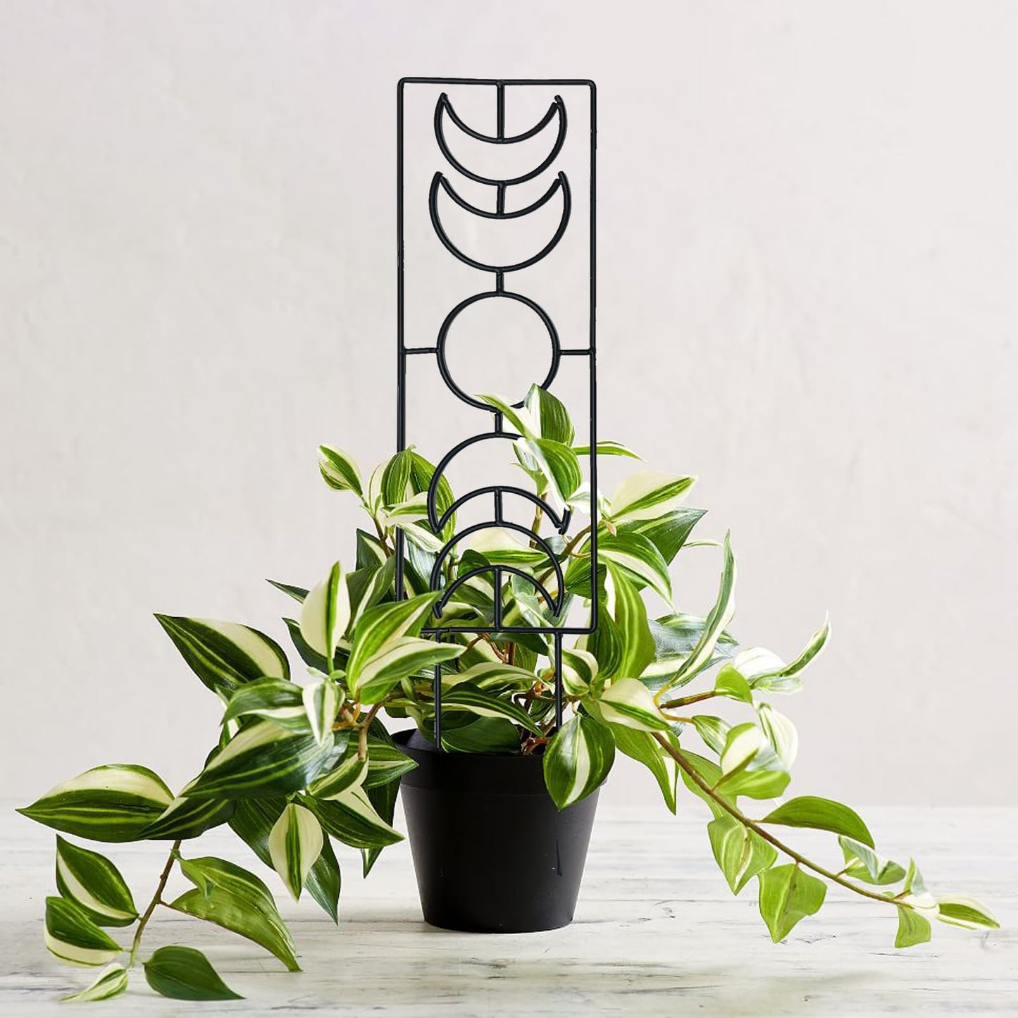 Indoor Plant Trellis for Climbing Plants, 16inch Small Garden Metal Trellis for Potted Plants Outdoor - 4 Pack - OVAD