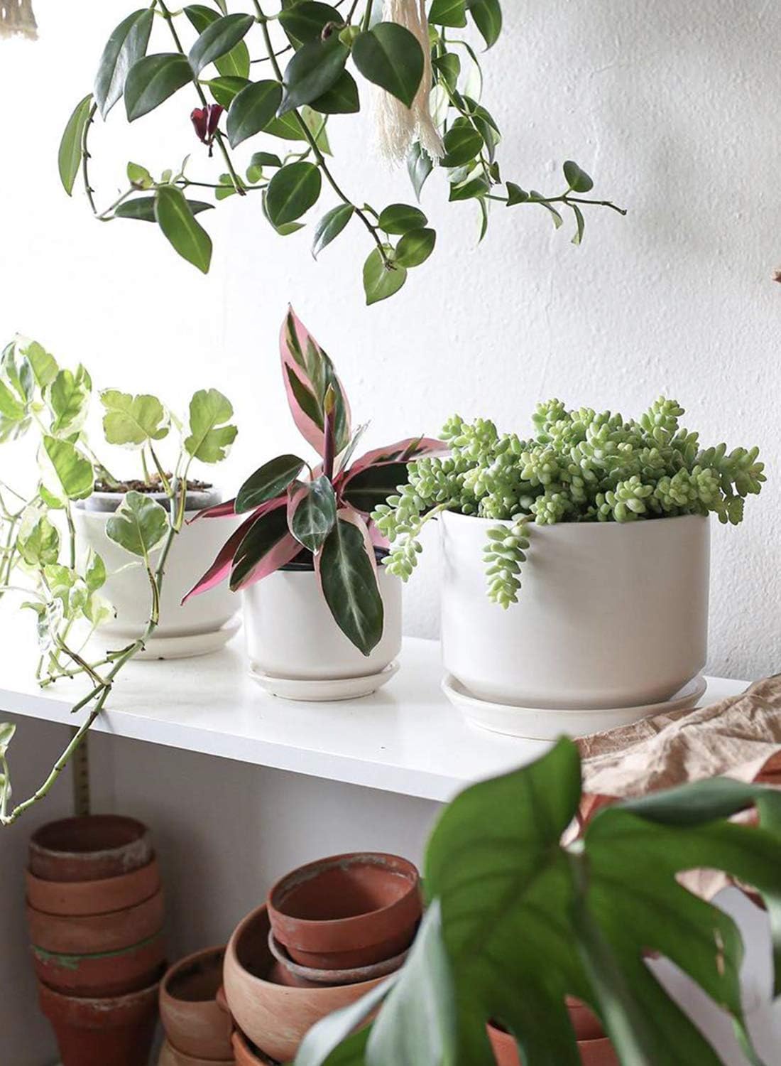 LE TAUCI Ceramic Plant Pots, 4.3+5.3+6.8 Inch, Set of 3, Planters with Drainage Hole and Saucer for Stylish Indoor and Outdoor Decor - OVAD