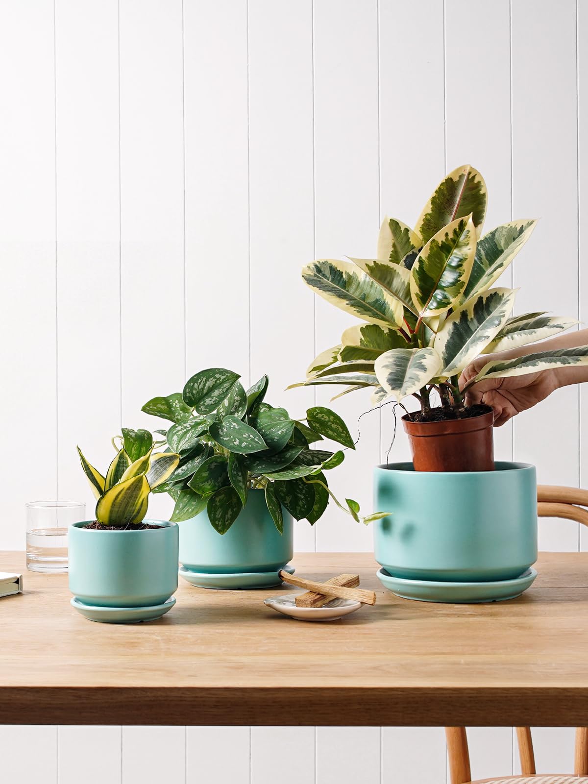 LE TAUCI Ceramic Plant Pots, 4.3+5.3+6.8 Inch, Set of 3, Planters with Drainage Hole and Saucer for Stylish Indoor and Outdoor Decor - OVAD