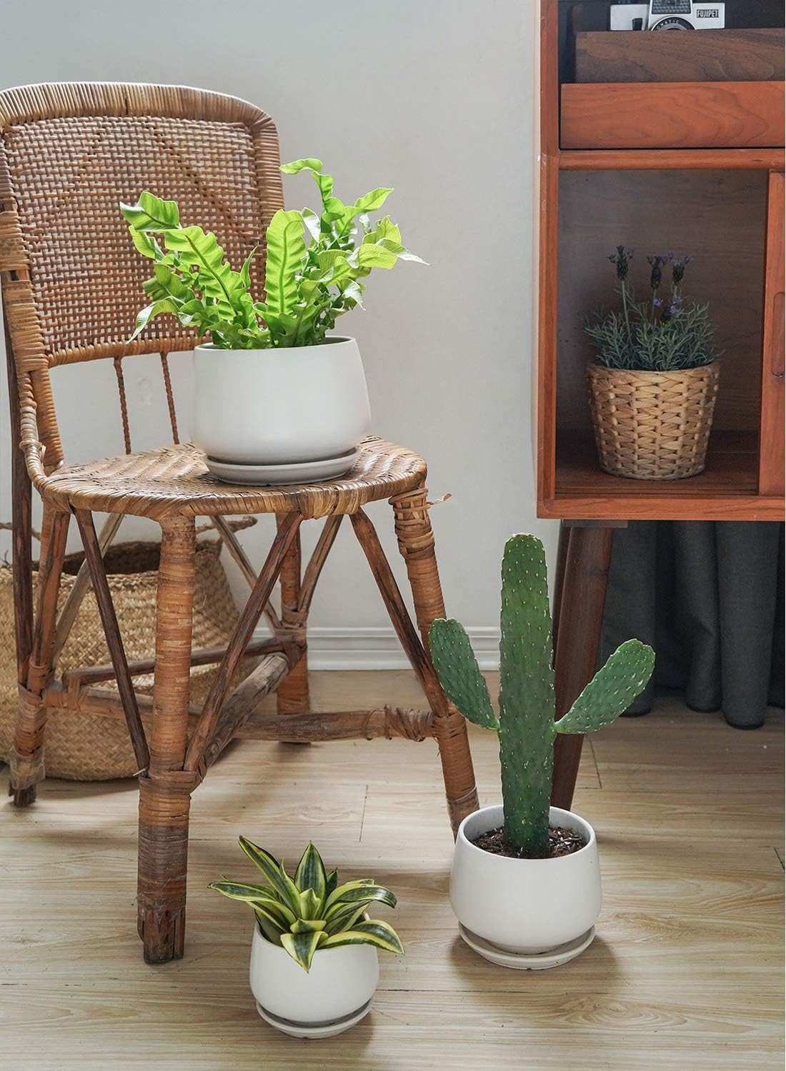 LE TAUCI Ceramic Plant Pots Set with Drainage Hole and Saucer, 4.1+5.1+6.5 Inch Sizes, 50 Pack Flower Pot Hole Mesh Pad Bundle in White - OVAD