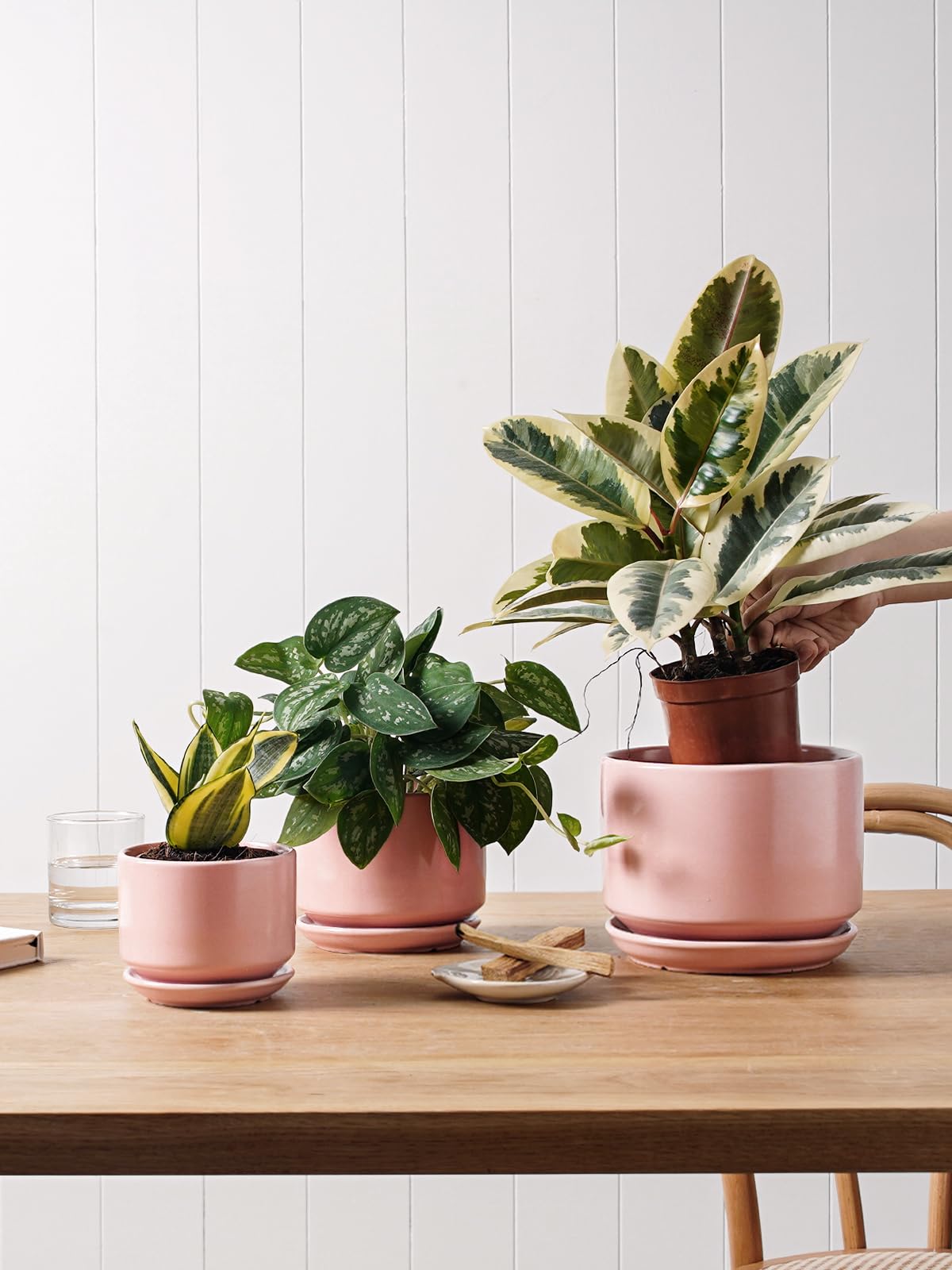 LE TAUCI Ceramic Plant Pots, 4.3+5.3+6.8 Inch, Set of 3, Planters with Drainage Hole and Saucer for Stylish Indoor and Outdoor Decor - OVAD