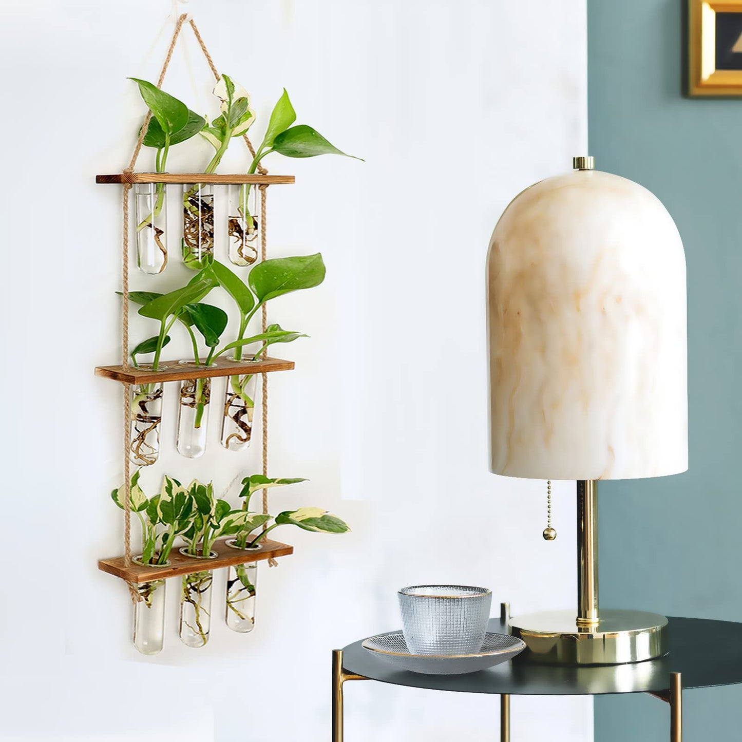 Wall Hanging Propagation Station with Wooden Stand - 5 Glass Test Tubes for Stylish Plant Display and Home Décor - OVAD