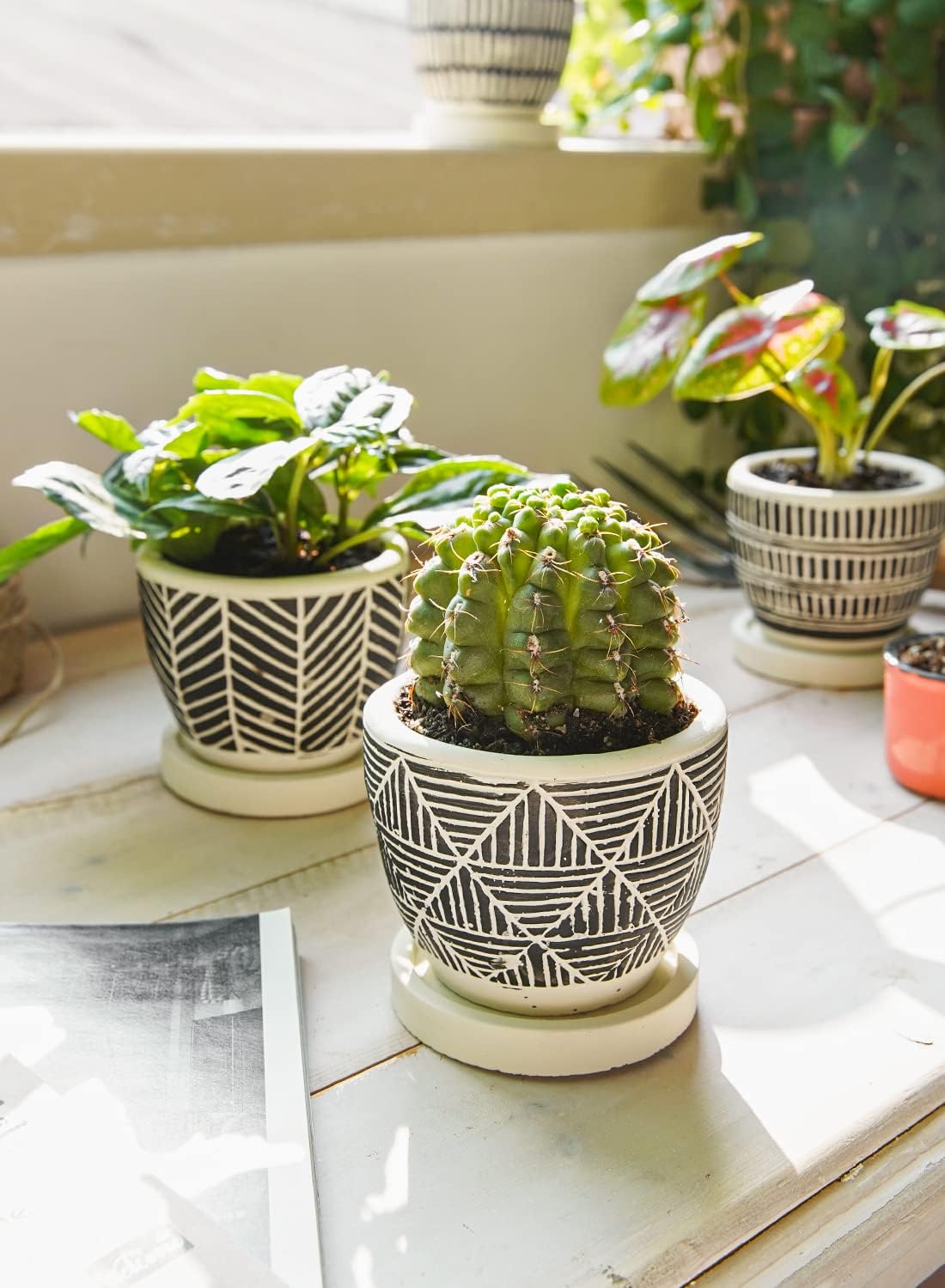 LE TAUCI 3 Inch Boho Succulent Pots, Artisanal Small Succulent Planters, Cute Cement Plant Pots Gift Box for Mom, Women, Set of 4, Black and Cream White - OVAD