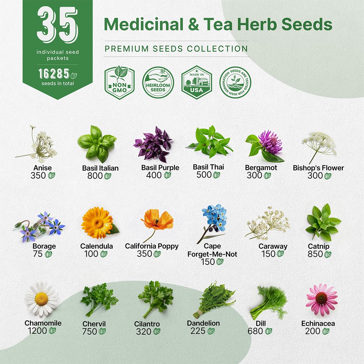 35 Medicinal & Tea Herb Seeds Variety Pack for Indoor & Outdoors Non-GMO Heirloom Garden Seeds Featuring Anise Dandelion & More - OVAD