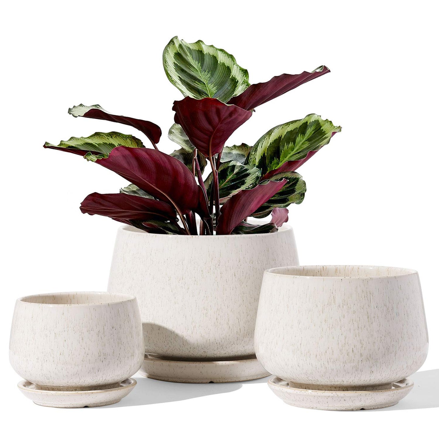 LE TAUCI Plant Pots, 4.1+5.1+6.5 Inch, Set of 3 Stylish Ceramic Planters with Drainage Hole and Saucer for Optimal Plant Growth - OVAD