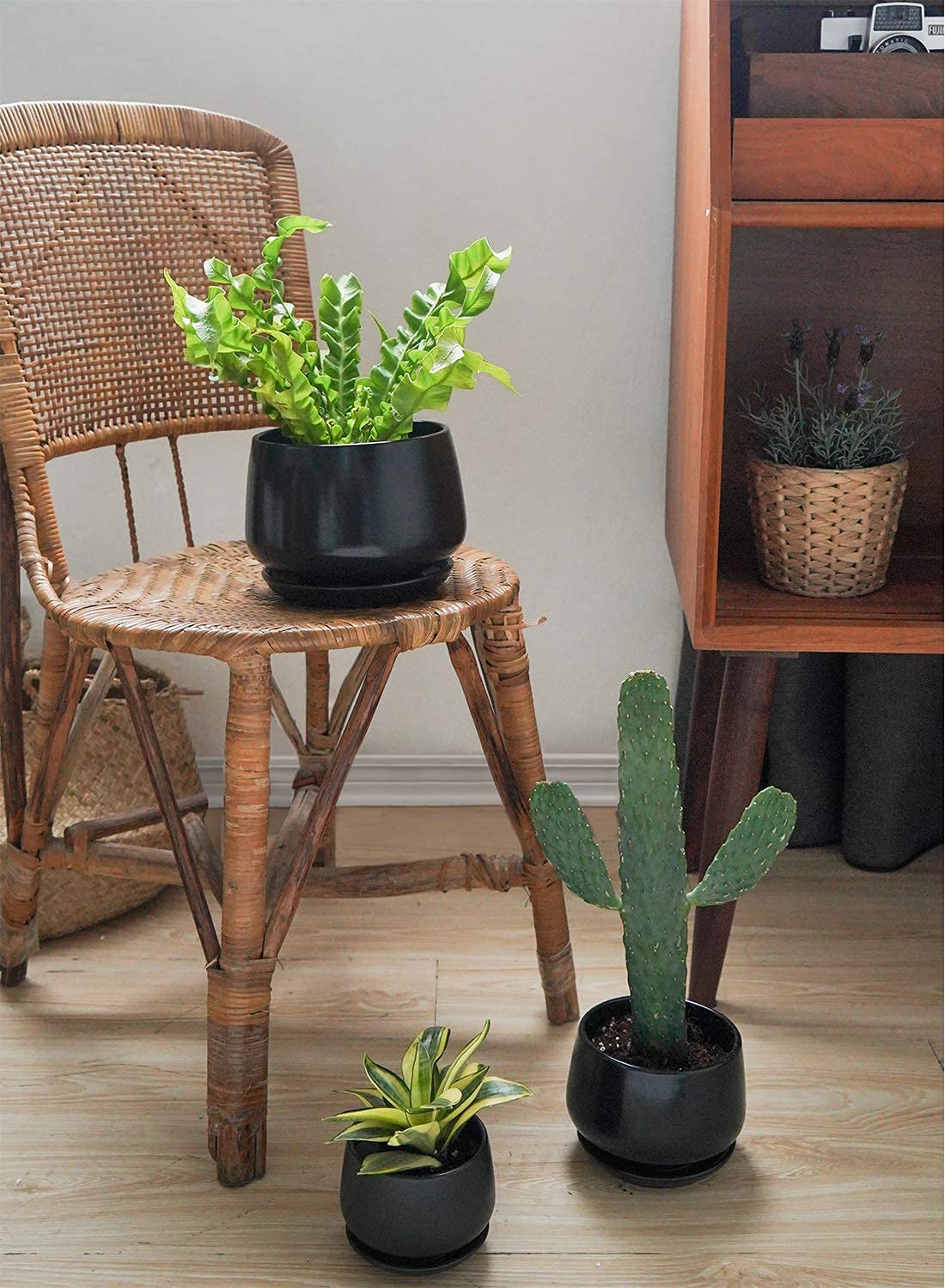 LE TAUCI Plant Pots, 4.1+5.1+6.5 Inch, Set of 3 Stylish Ceramic Planters with Drainage Hole and Saucer for Optimal Plant Growth - OVAD