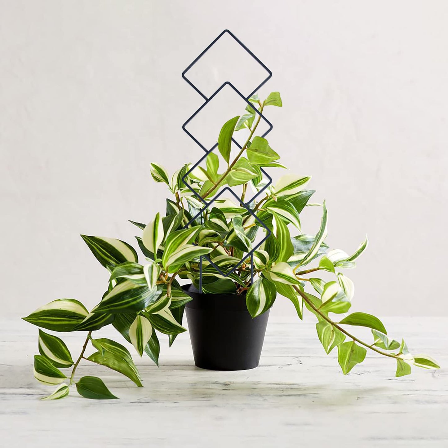 Indoor Plant Trellis for Climbing Plants, 16inch Small Garden Metal Trellis for Potted Plants Outdoor - 4 Pack - OVAD