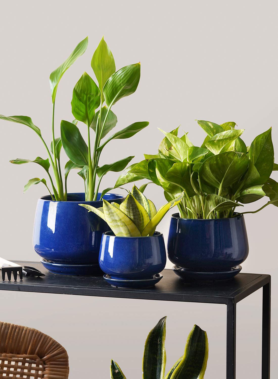 LE TAUCI Plant Pots, 4.1+5.1+6.5 Inch, Set of 3 Stylish Ceramic Planters with Drainage Hole and Saucer for Optimal Plant Growth - OVAD