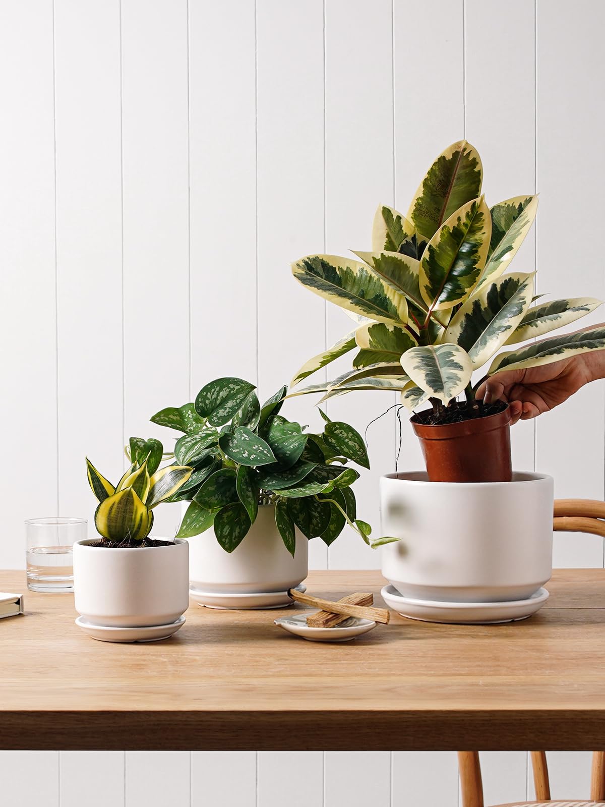 LE TAUCI Ceramic Plant Pots, 4.3+5.3+6.8 Inch, Set of 3, Planters with Drainage Hole and Saucer for Stylish Indoor and Outdoor Decor - OVAD