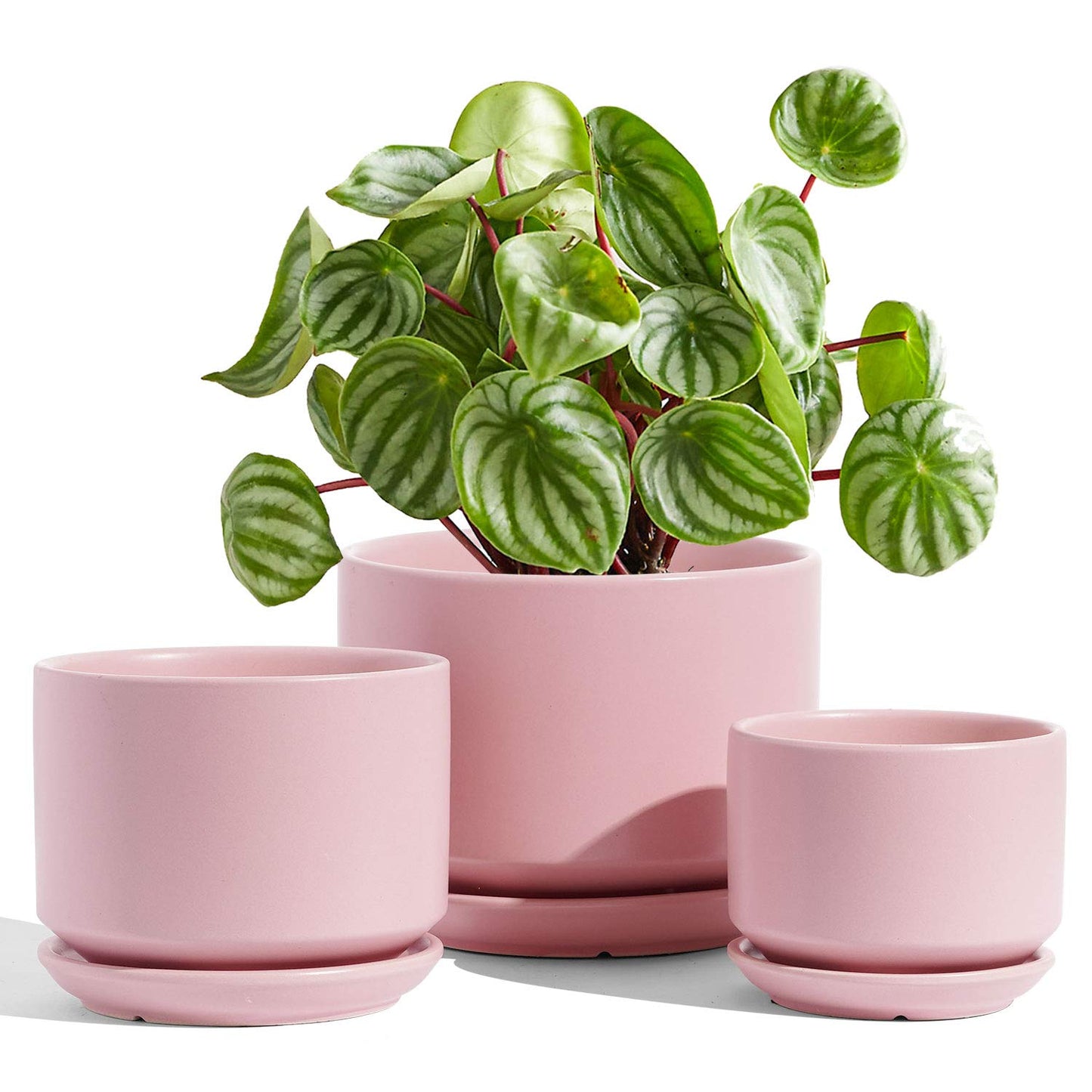 LE TAUCI Ceramic Plant Pots, 4.3+5.3+6.8 Inch, Set of 3, Planters with Drainage Hole and Saucer for Stylish Indoor and Outdoor Decor - OVAD