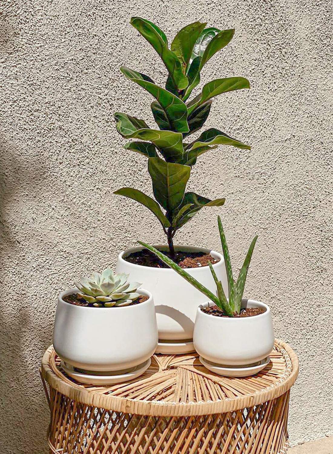 LE TAUCI Plant Pots, 4.1+5.1+6.5 Inch, Set of 3 Stylish Ceramic Planters with Drainage Hole and Saucer for Optimal Plant Growth - OVAD