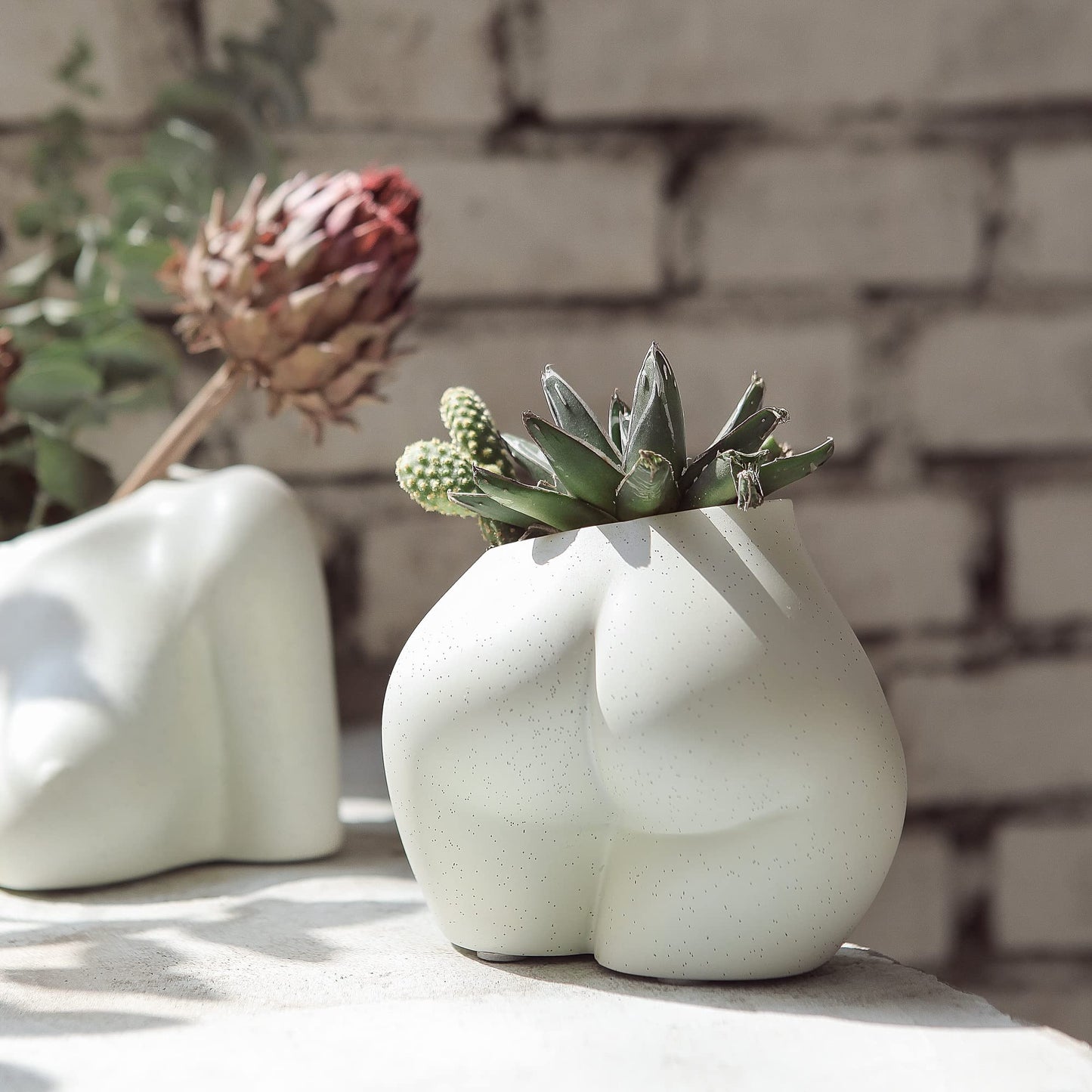 Lower Body Pot, Female with Drainage Holes for Optimal Growth - OVAD
