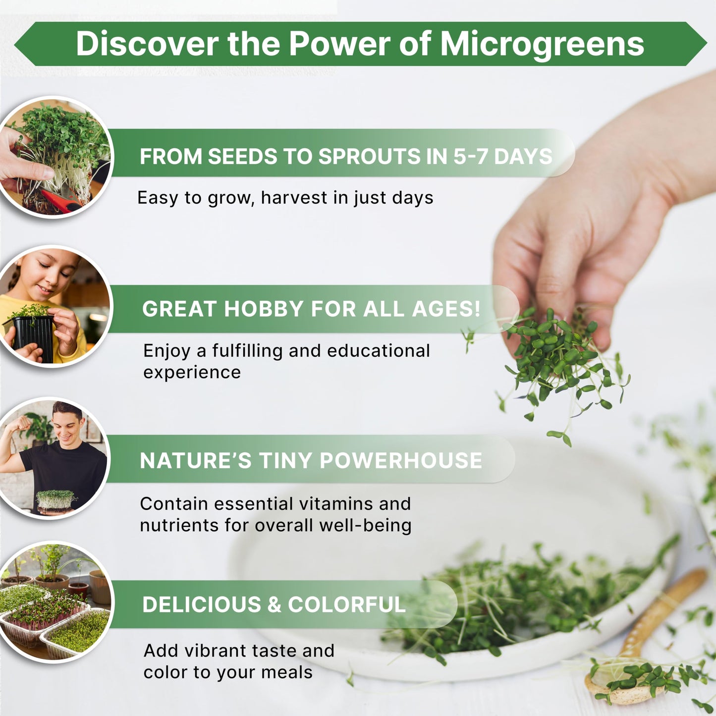 Organo Republic Broccoli Sprouting & Microgreens Seeds - Non-GMO Heirloom Kit in 1lb Resealable Bag for Growing in Soil Coconut Coir Aerogarden Hydroponic - OVAD