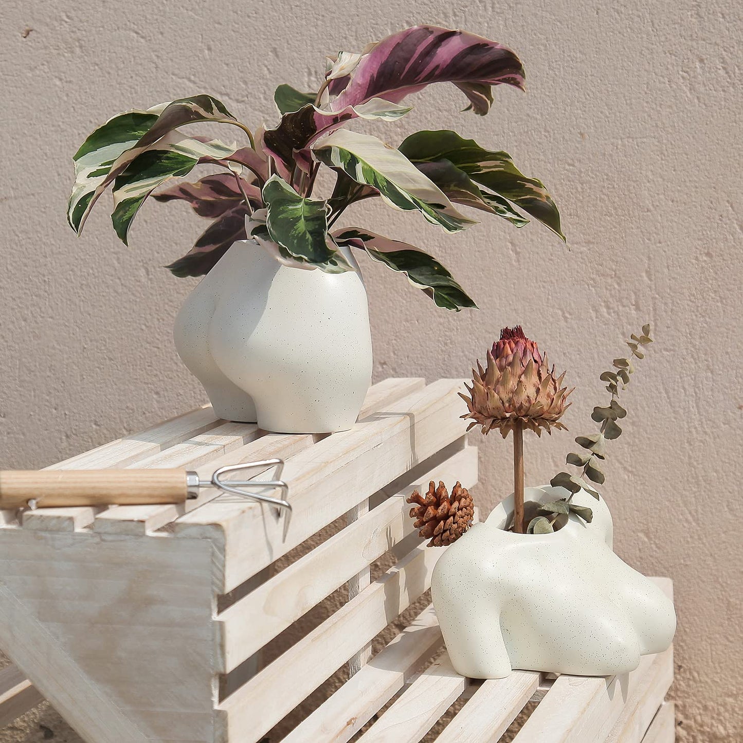 Lower Body Pot, Female with Drainage Holes for Optimal Growth - OVAD