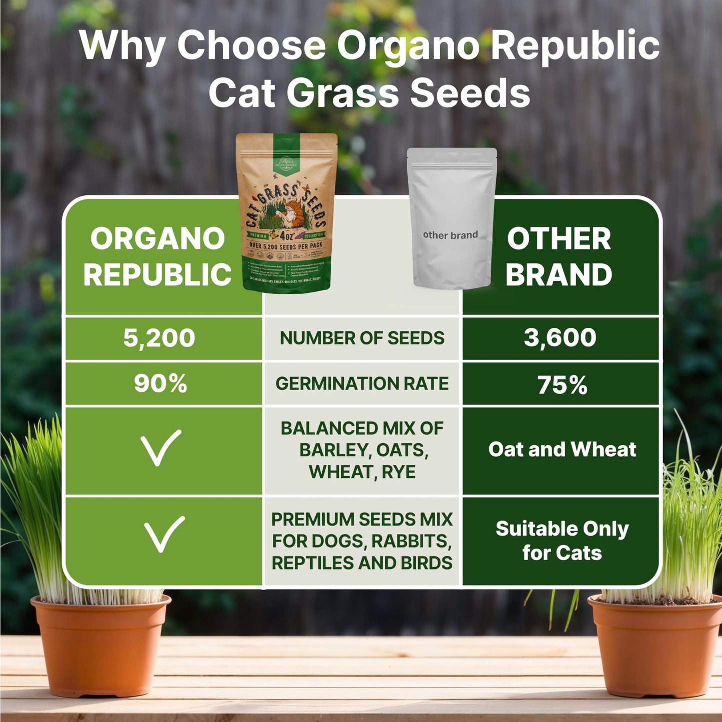 Organo Republic Cat Grass Seeds Mix - 20,800 Non-GMO Heirloom Seeds for Cats & Pets, 16 oz Pack for Indoor Planting and Natural Hairball Remedy - OVAD