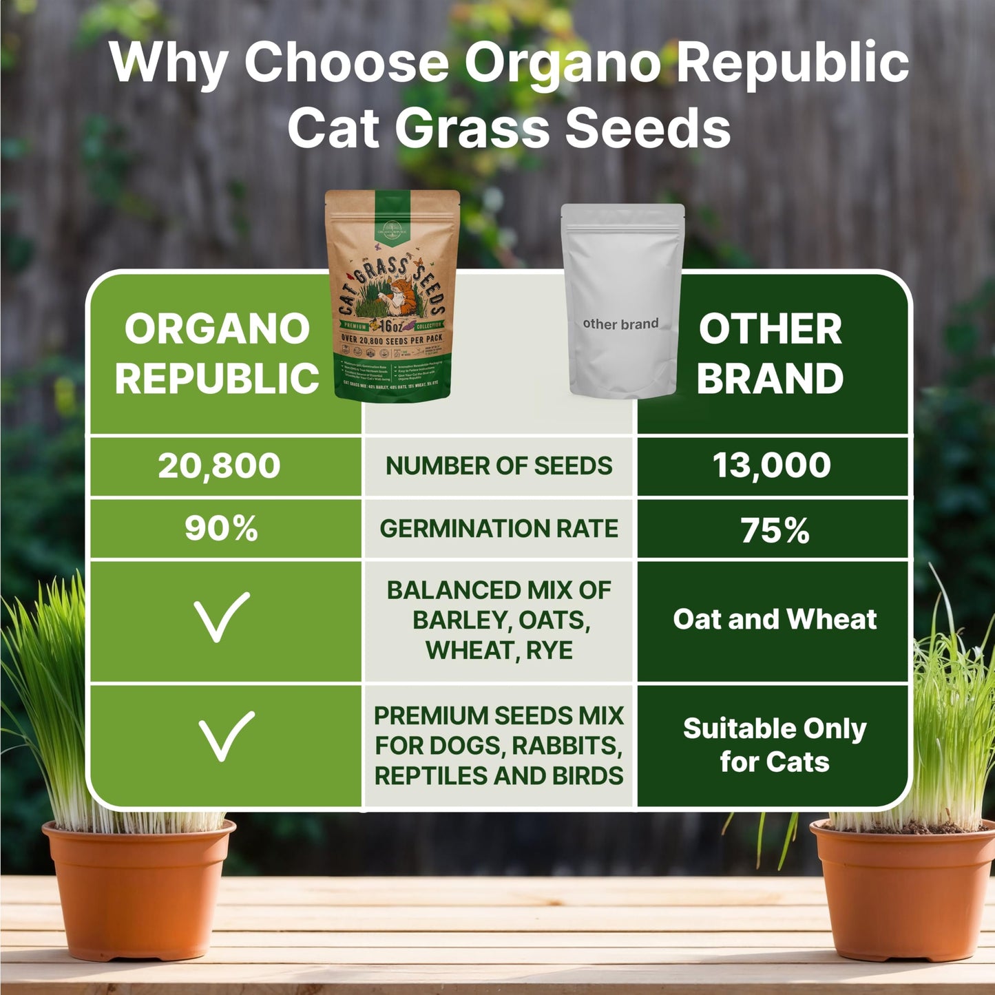 Organo Republic Cat Grass Seeds Mix - 20,800 Non-GMO Heirloom Seeds for Cats & Pets, 16 oz Pack for Indoor Planting and Natural Hairball Remedy - OVAD
