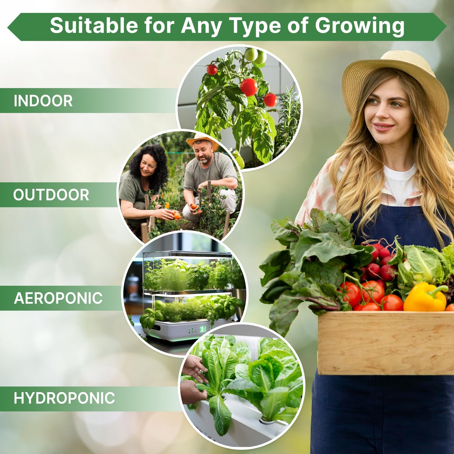 Organo Republic 22 Lettuce & Salad Greens Seeds Variety Pack 24,700 Plus Non-GMO Heirloom Lettuce Seeds For Indoor And Outdoor Garden Hydroponics Aerogarden Arugula Kale Spinach Swiss Chard Lettuce - OVAD