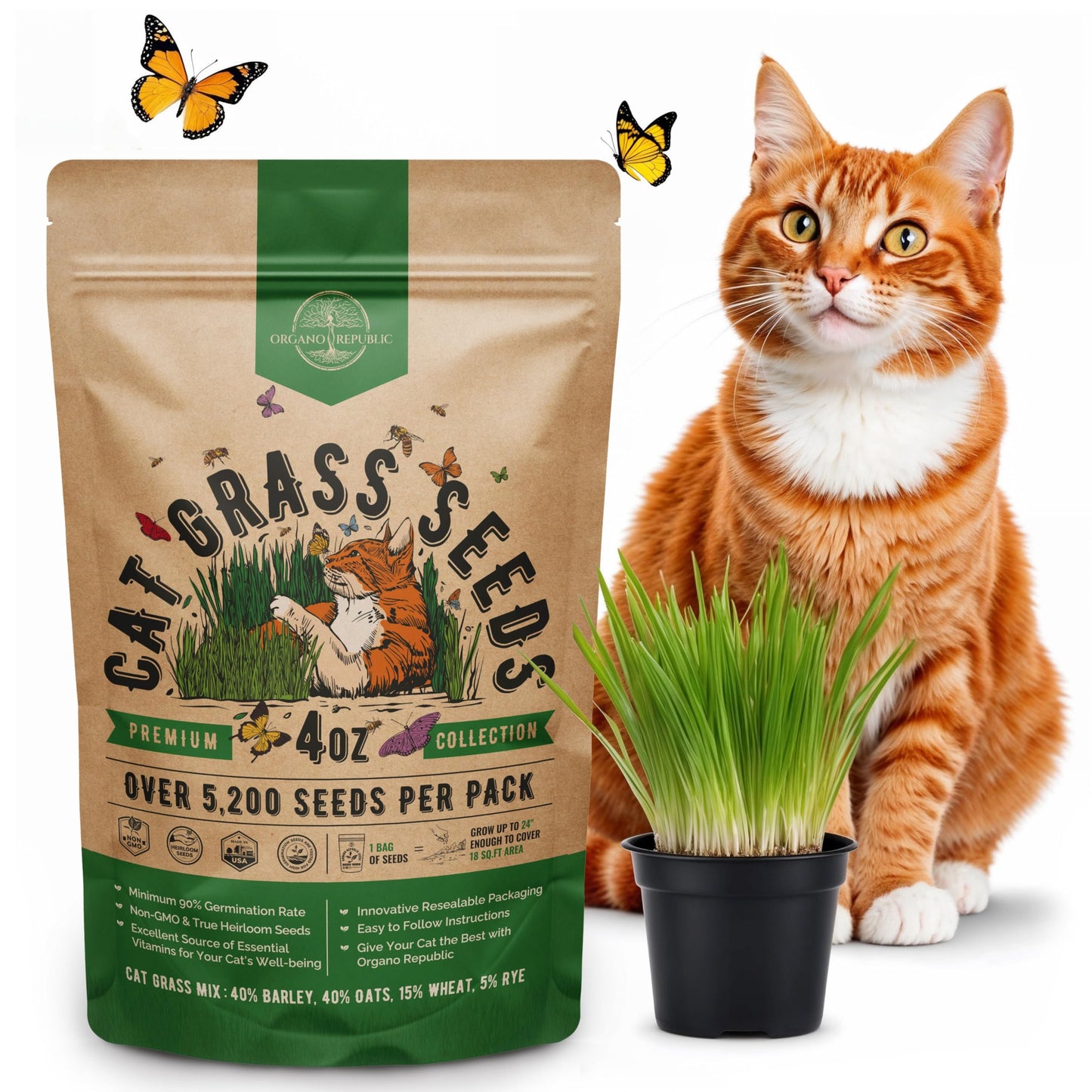 Organo Republic Cat Grass Seeds Mix - 20,800 Non-GMO Heirloom Seeds for Cats & Pets, 16 oz Pack for Indoor Planting and Natural Hairball Remedy - OVAD