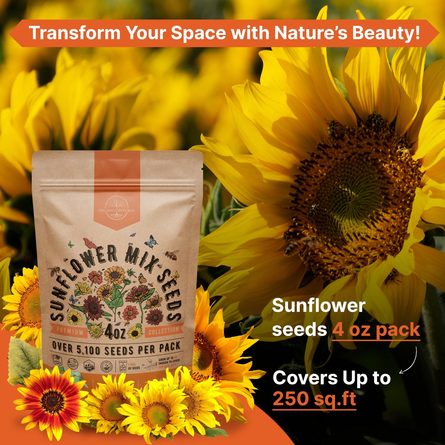 Sunflower Mix Seeds Pack 4 oz - 5,100 Non-GMO Heirloom Seeds for Vibrant Home Garden Planting Indoor and Outdoor - OVAD