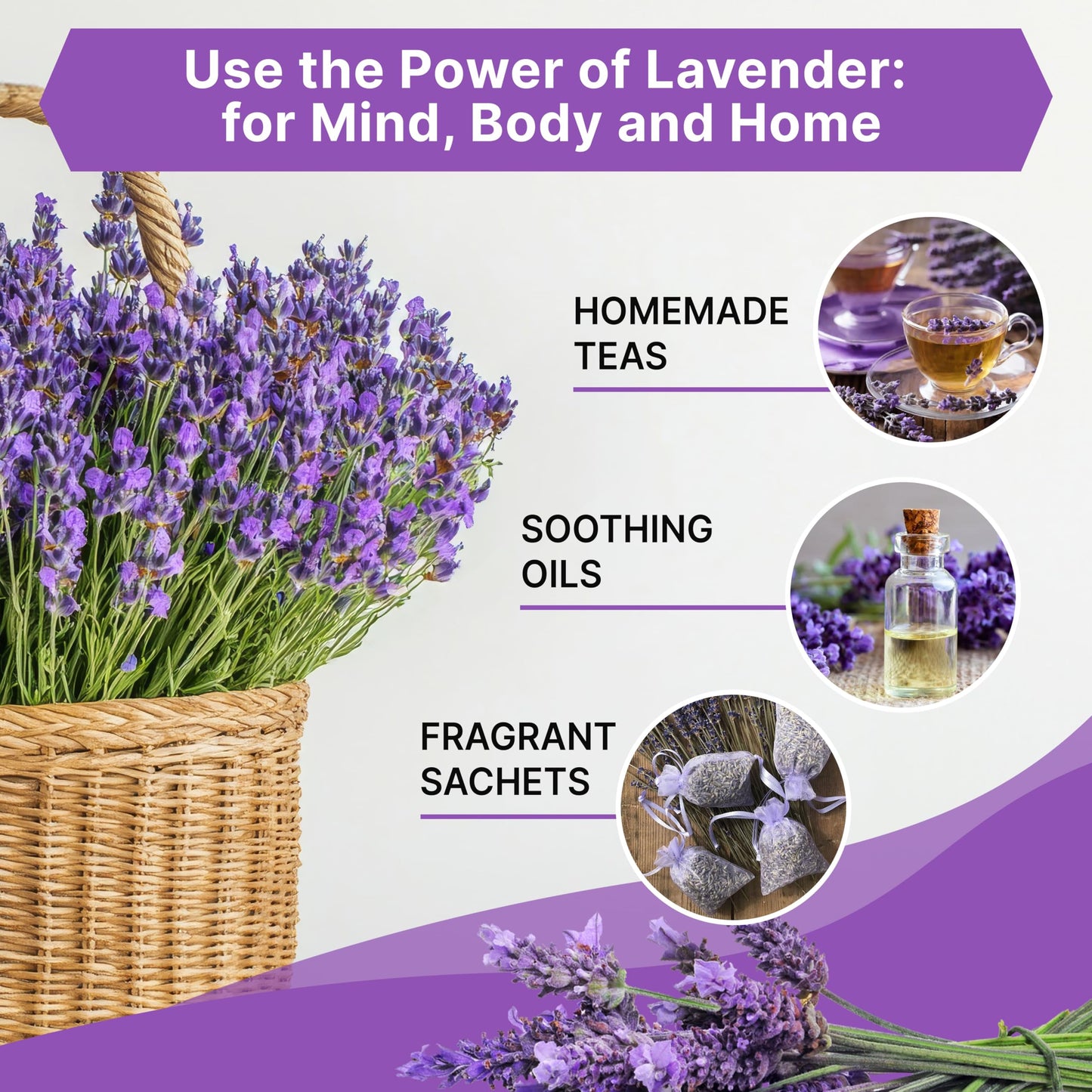 English Lavender Seeds Pack 2.50G - Over 2200 Non-GMO Heirloom Lavender Seeds for Planting Herbs in Individual Seed Packet for Home Gardens - OVAD