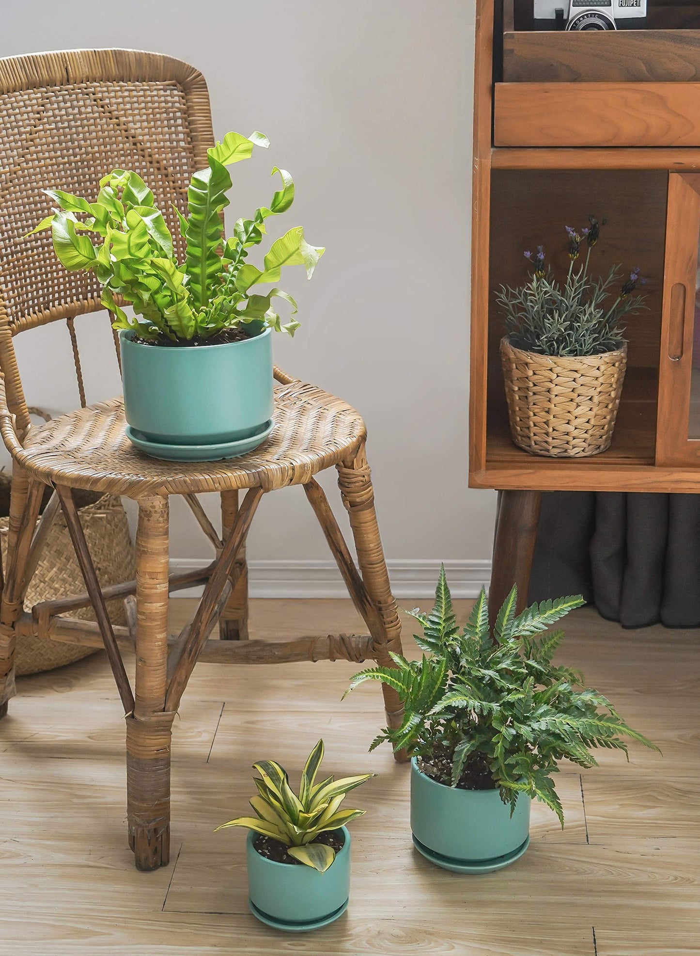 LE TAUCI Ceramic Plant Pots, 4.3+5.3+6.8 Inch, Set of 3, Planters with Drainage Hole and Saucer for Stylish Indoor and Outdoor Decor - OVAD