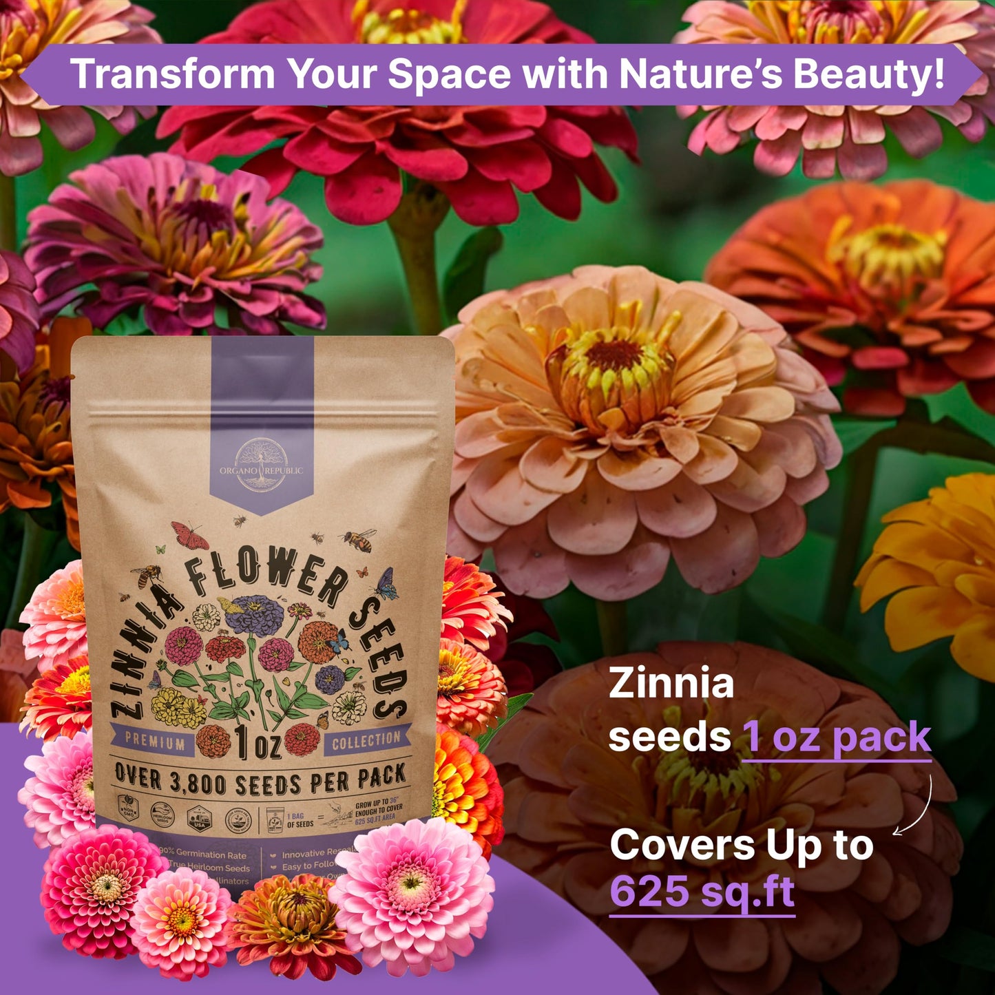 Zinnia Seeds Pack 1 oz - Over 3,800 Non-GMO Heirloom Seeds for Beautiful Annual Flower Gardens Indoors and Outdoors - OVAD
