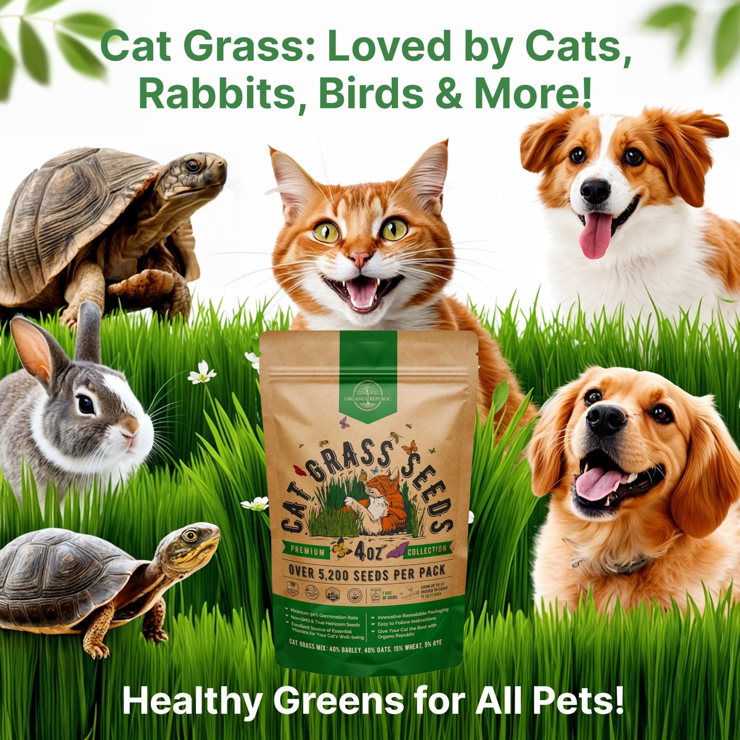 Organo Republic Cat Grass Seeds Mix - 20,800 Non-GMO Heirloom Seeds for Cats & Pets, 16 oz Pack for Indoor Planting and Natural Hairball Remedy - OVAD