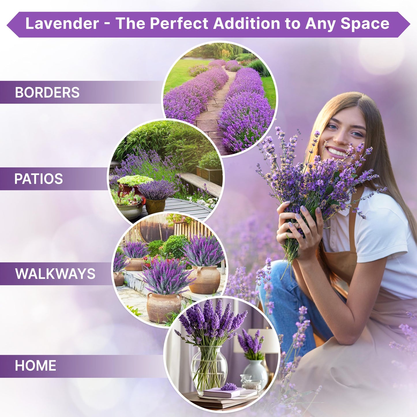 English Lavender Seeds Pack 2.50G - Over 2200 Non-GMO Heirloom Lavender Seeds for Planting Herbs in Individual Seed Packet for Home Gardens - OVAD