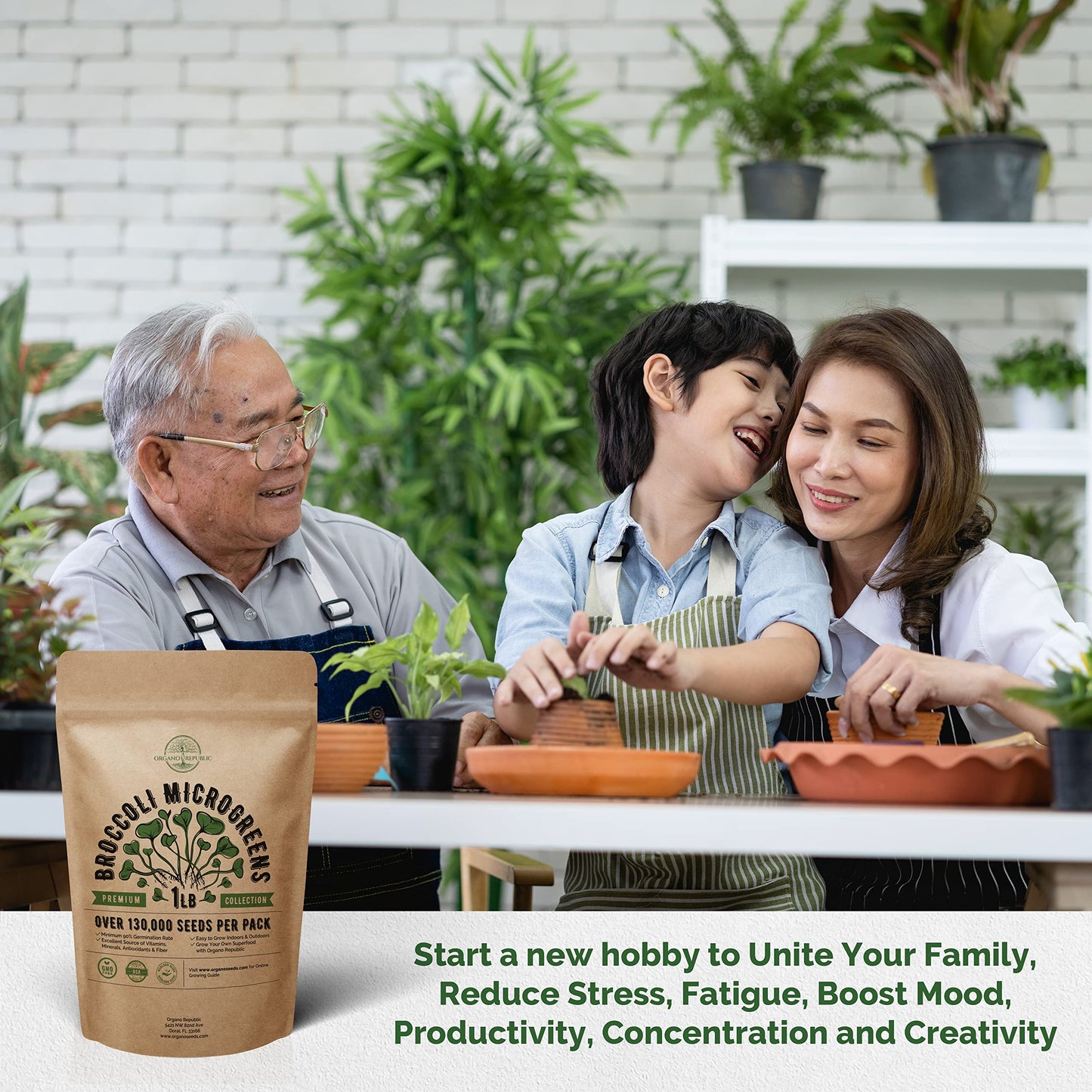 Organo Republic Broccoli Sprouting & Microgreens Seeds - Non-GMO Heirloom Kit in 1lb Resealable Bag for Growing in Soil Coconut Coir Aerogarden Hydroponic - OVAD